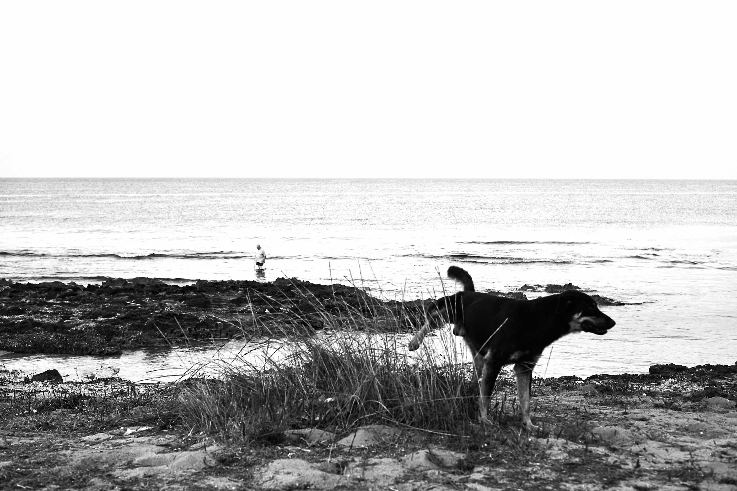 Granite Turret, Morning Habits