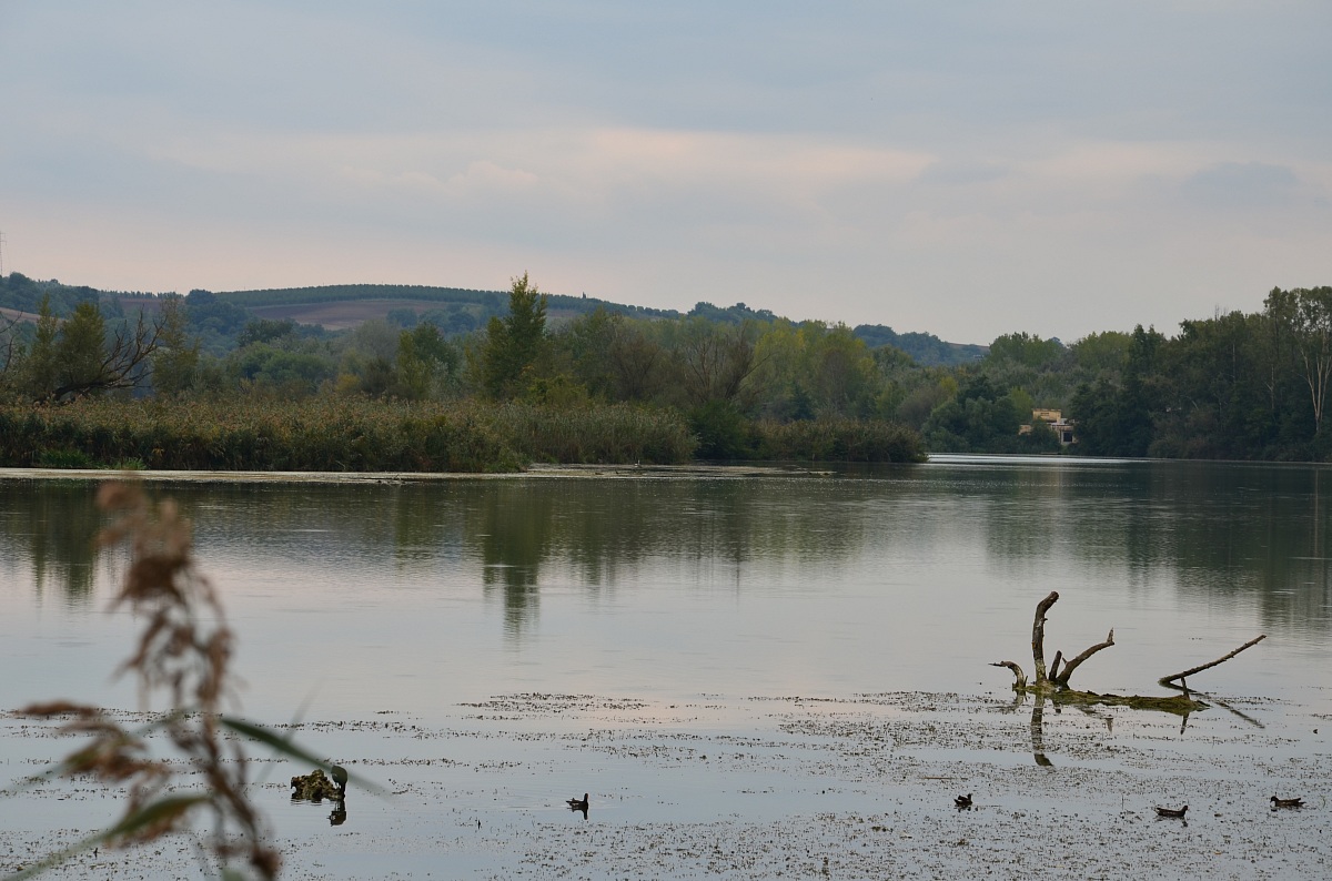 Tevere Farfa Nature Reserve