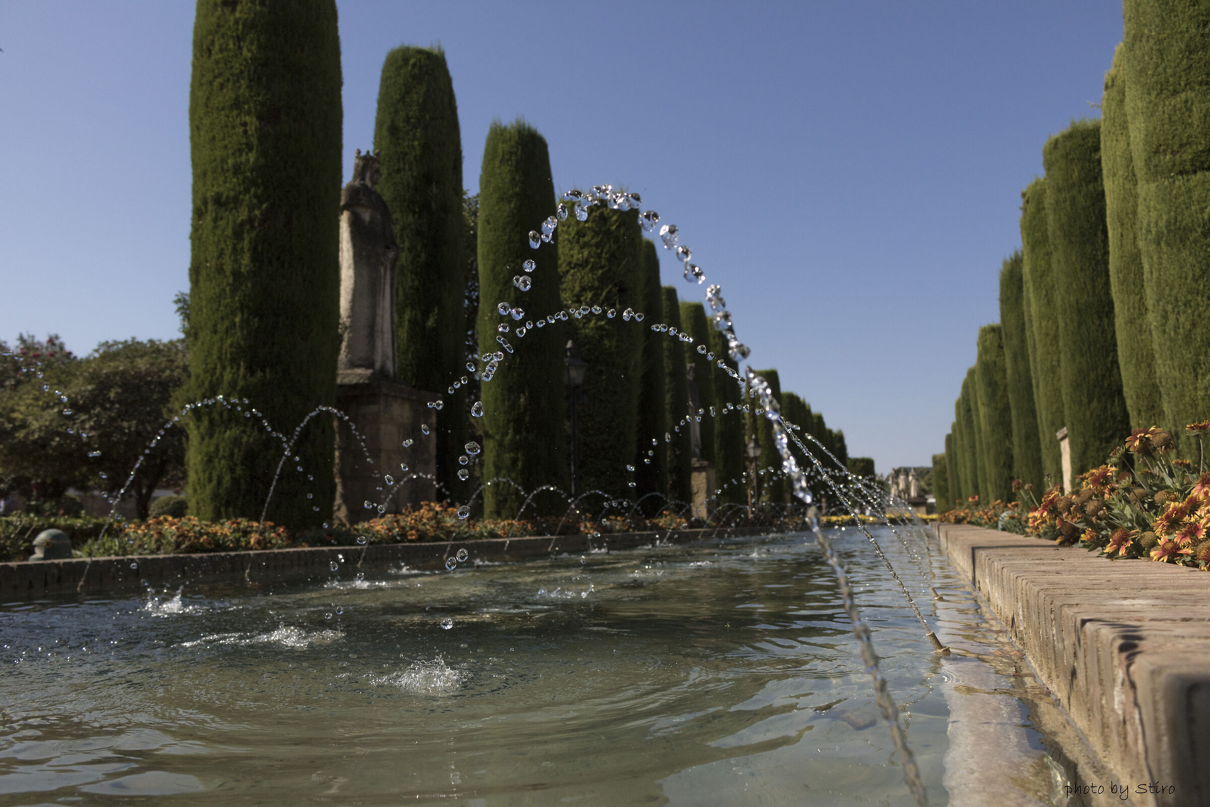 zampilli in giardino