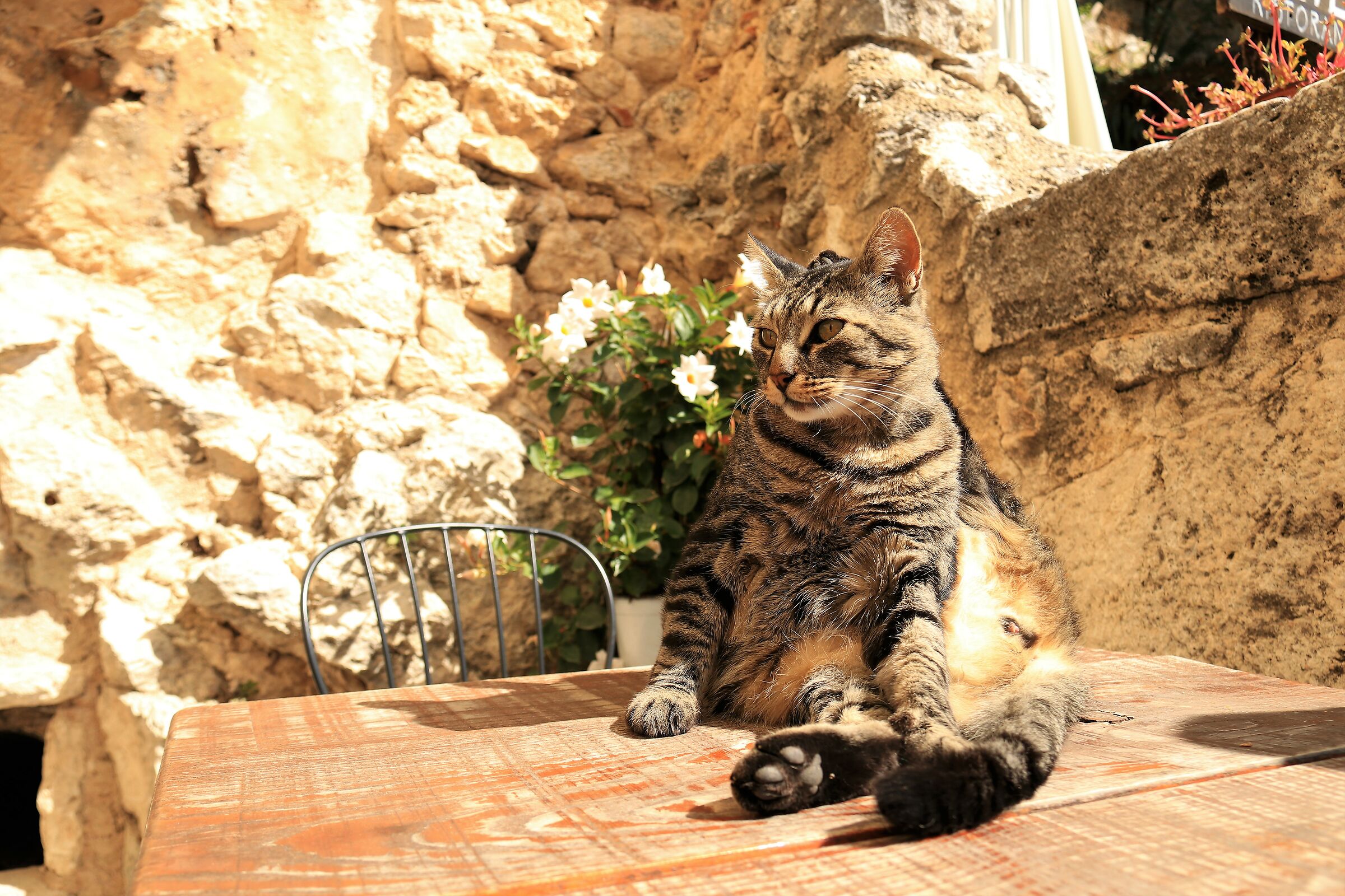 The eleventh inhabitant of Rocca Calascio