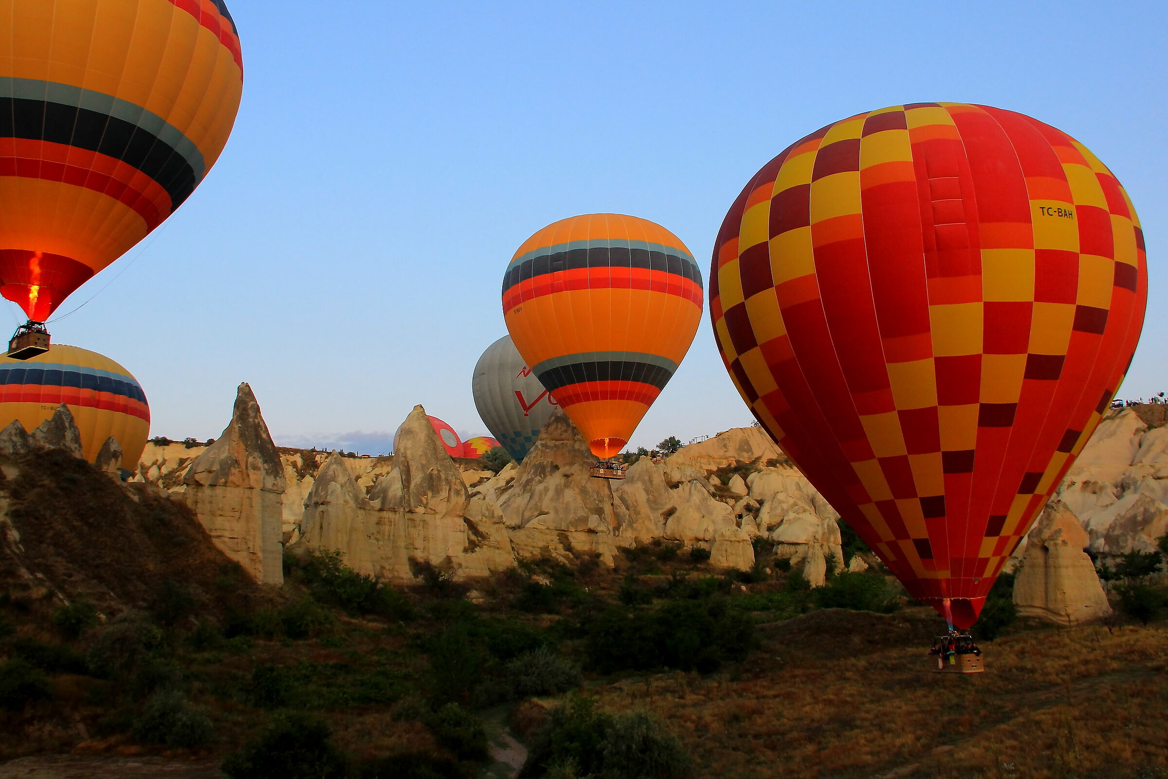Hot air balloons in Love Valley