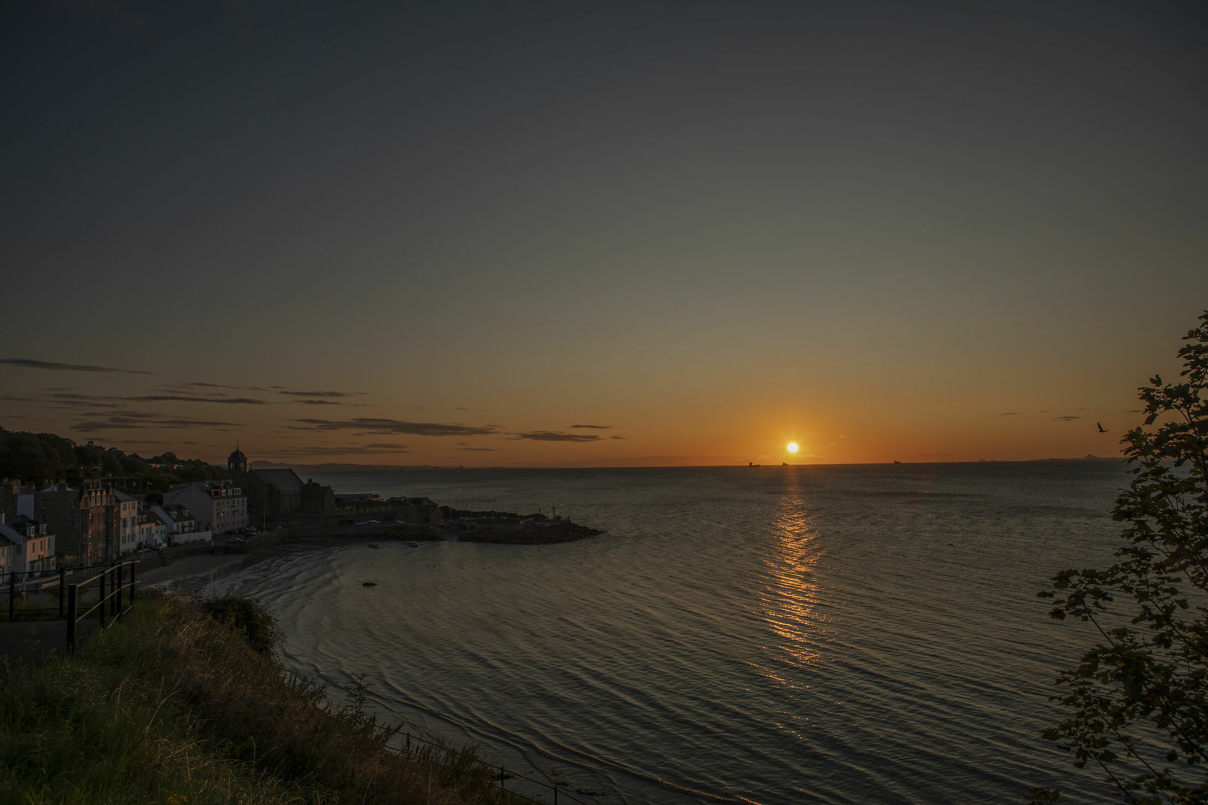alba.