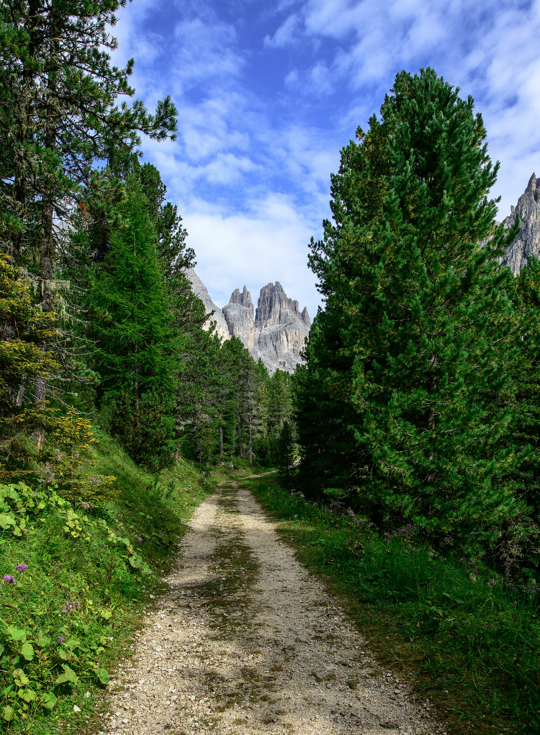 Dolomites 2019-Towards the Vajolet Towers