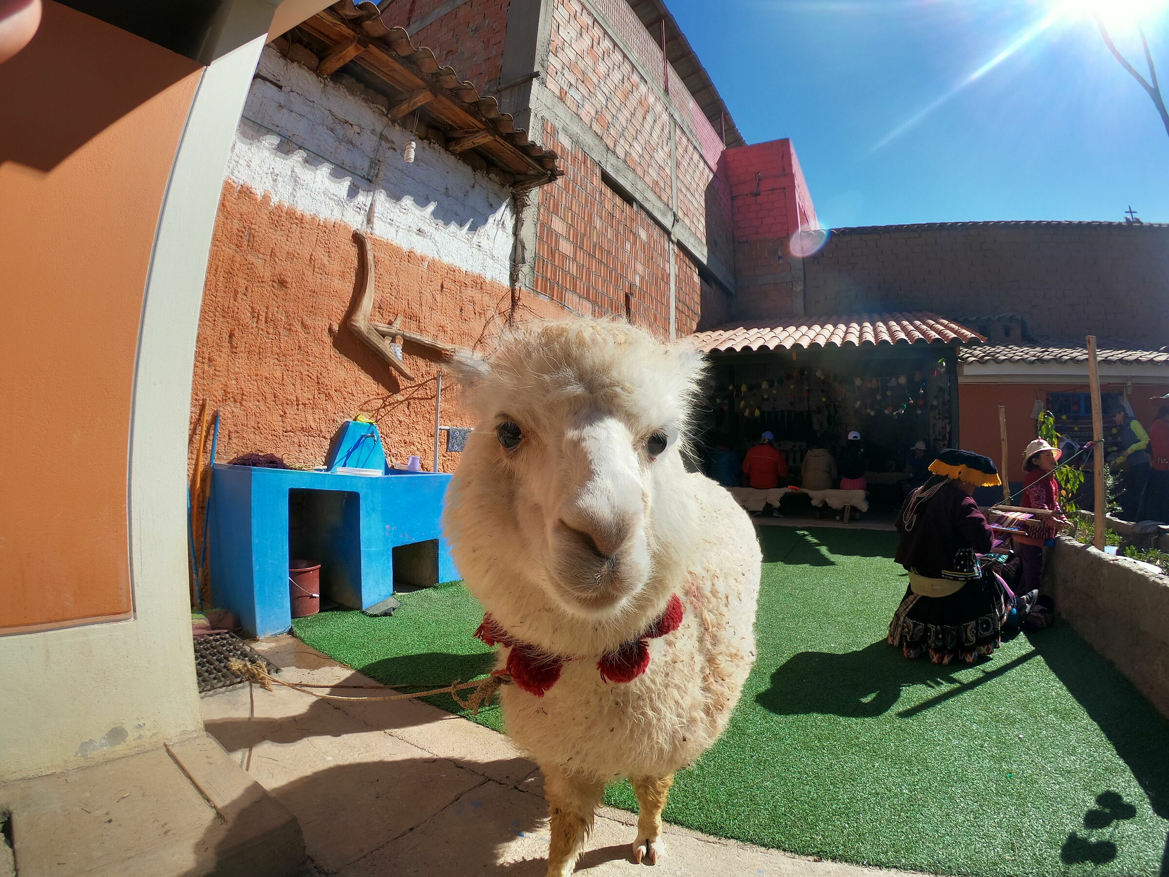 ARE YOU TALKING AT ME?