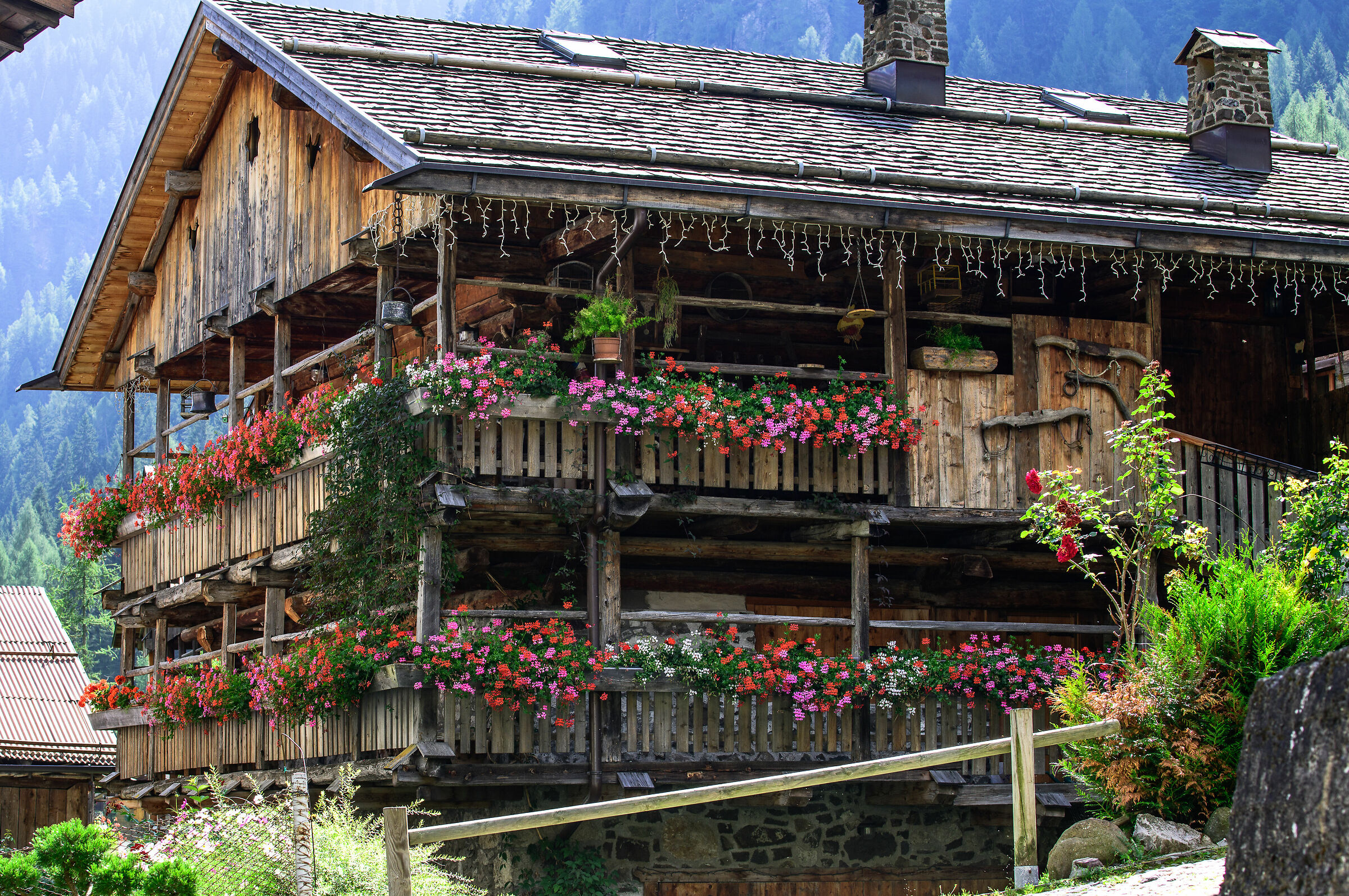 Dolomites 2019-Barn in the country