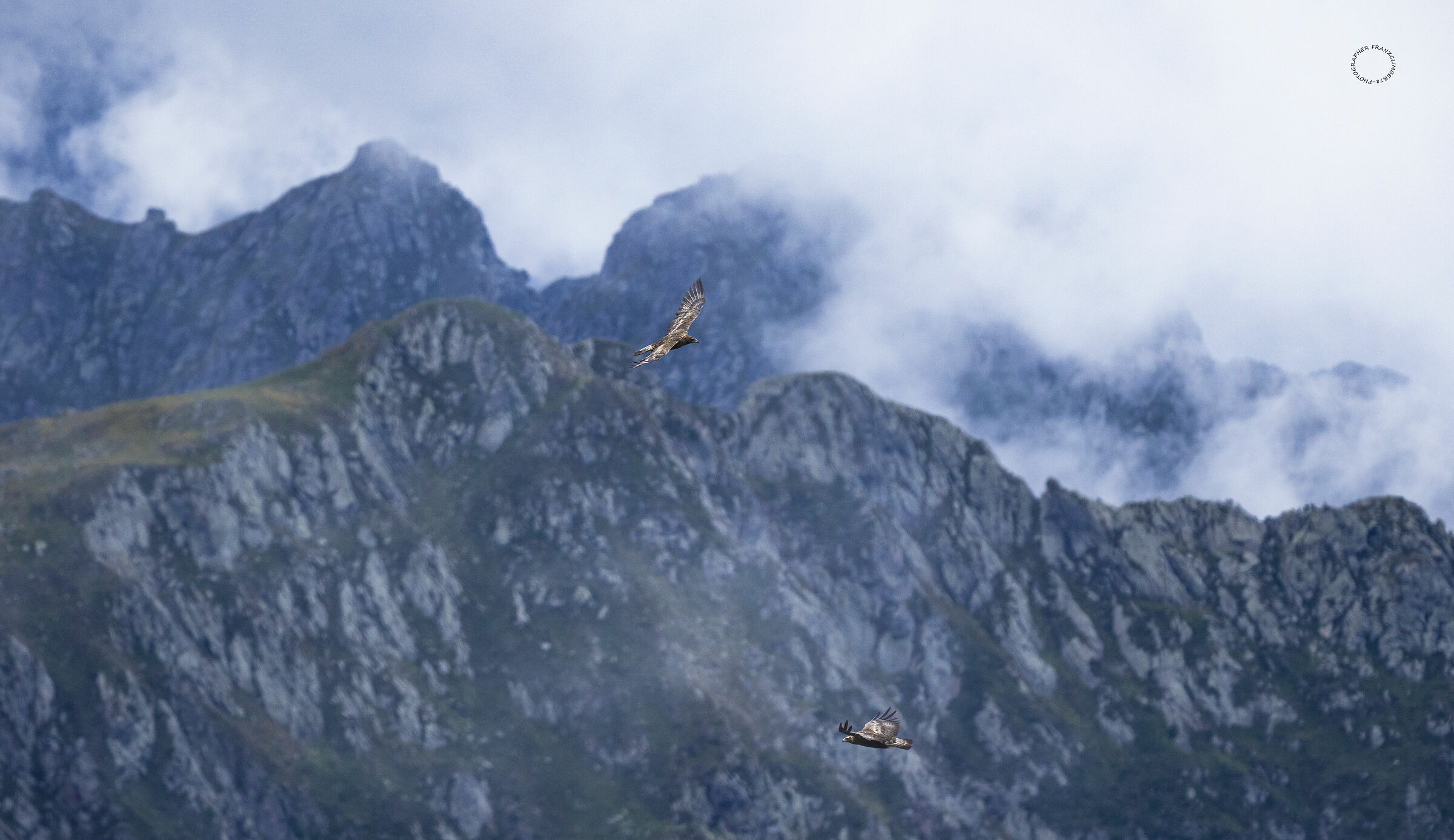 The queen teaches the prince.