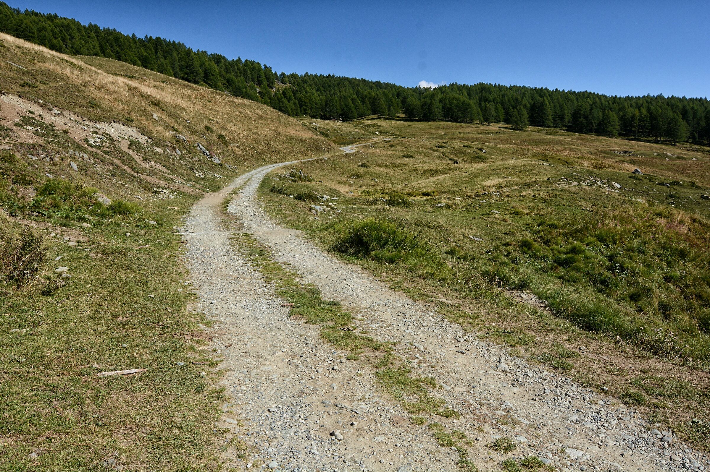 Va dove ti porta il cuore