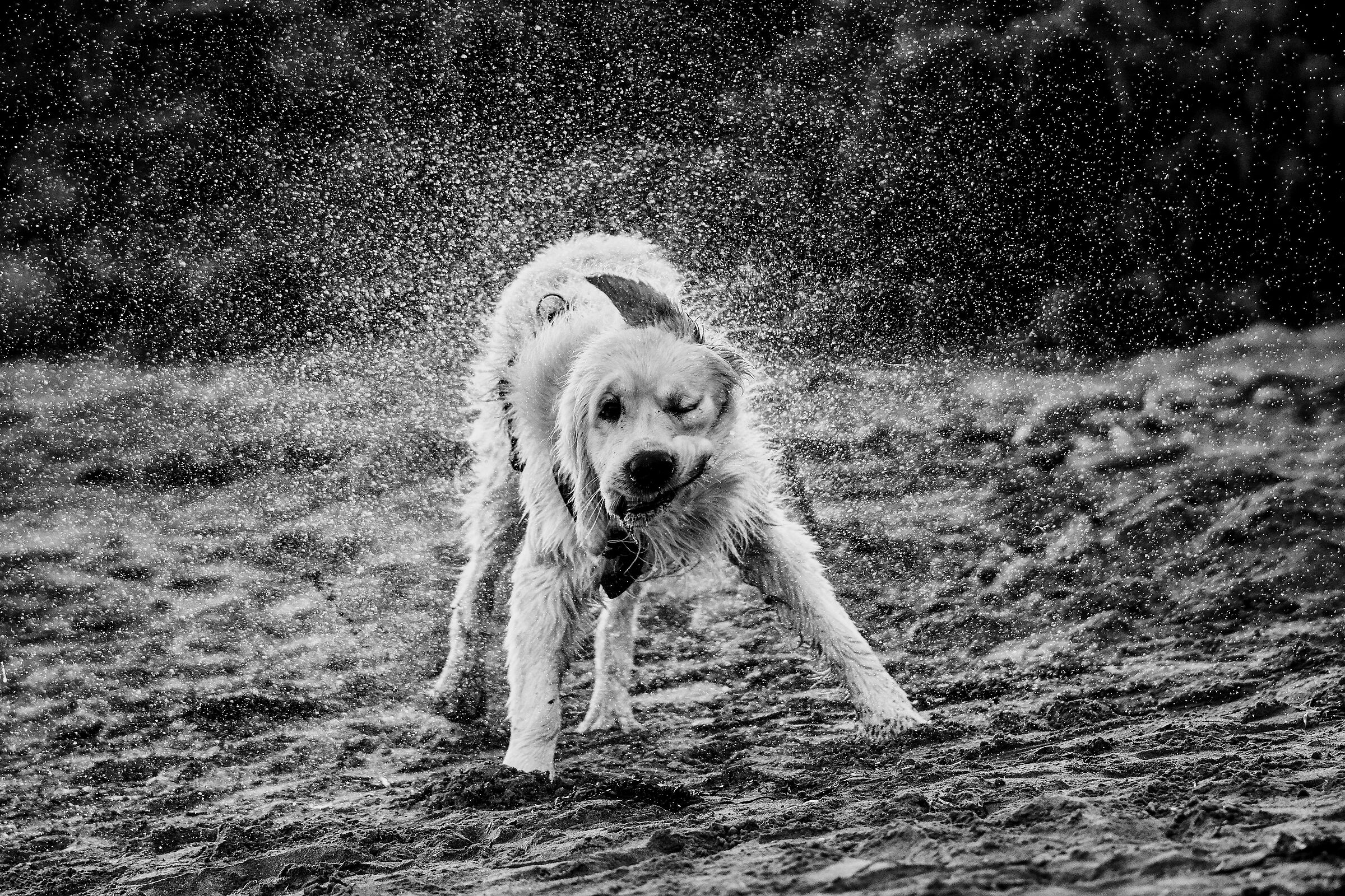 Quell'espressione un pò così