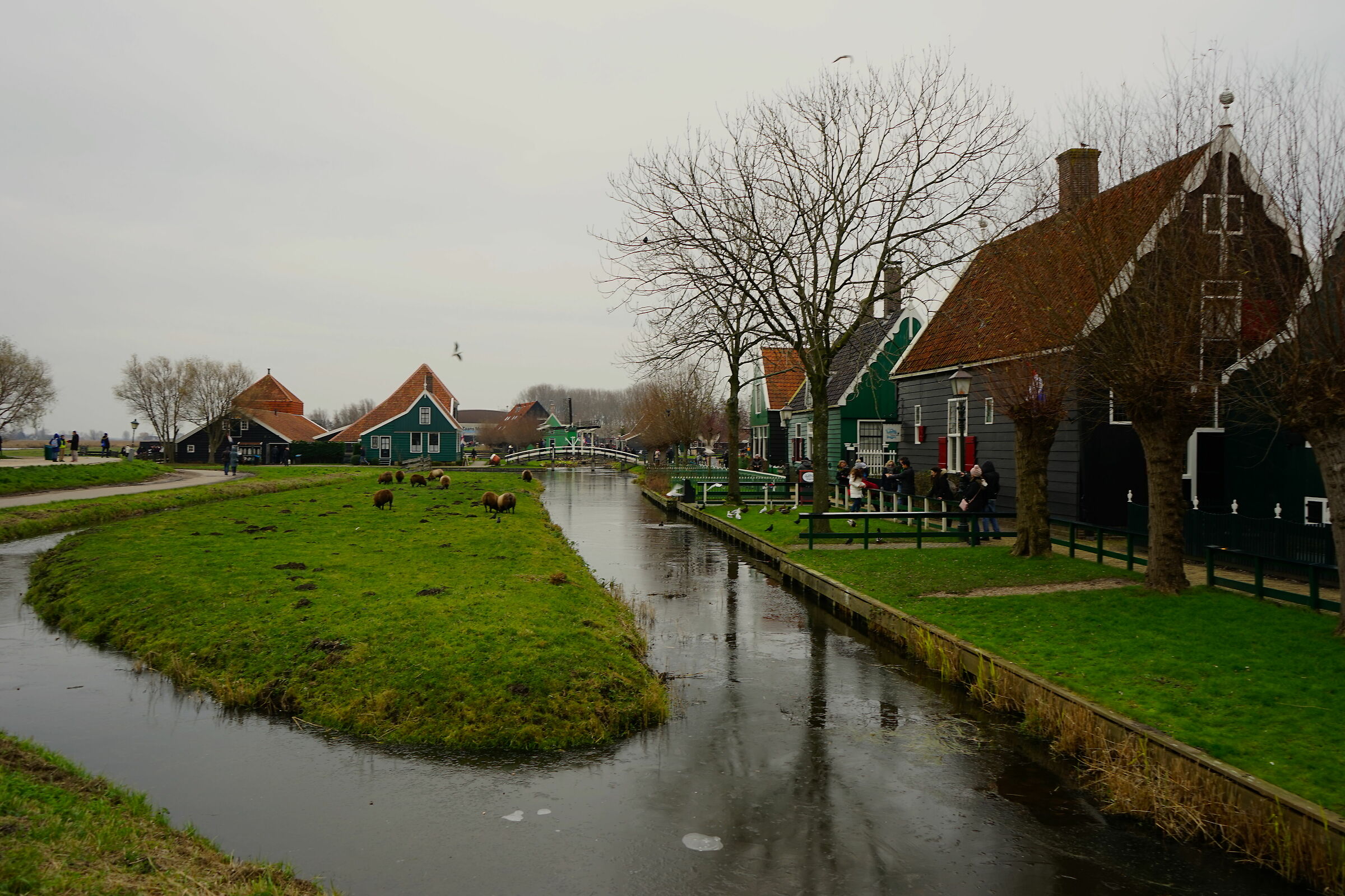Peace between the canals.