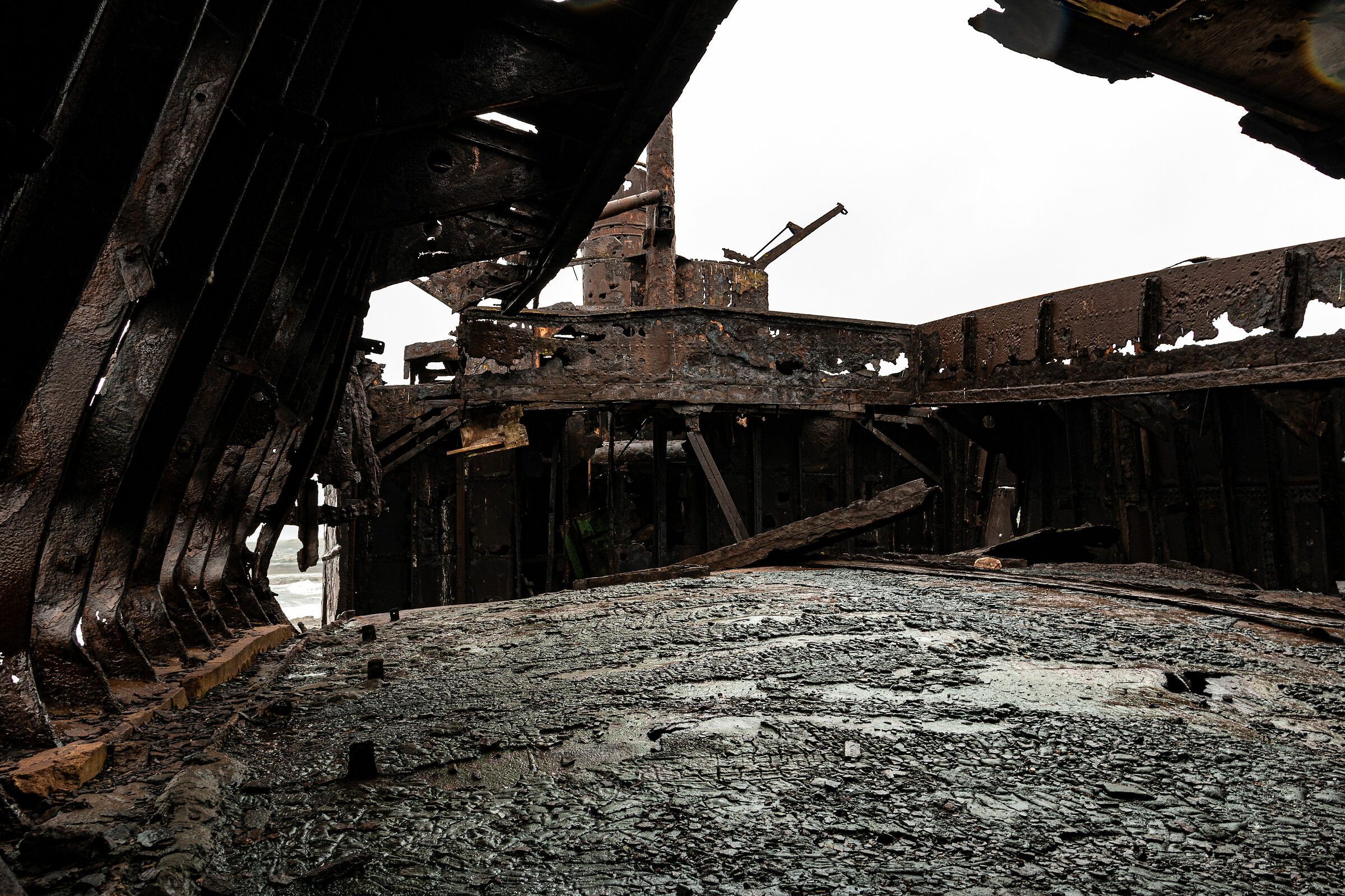 Rust Since1960