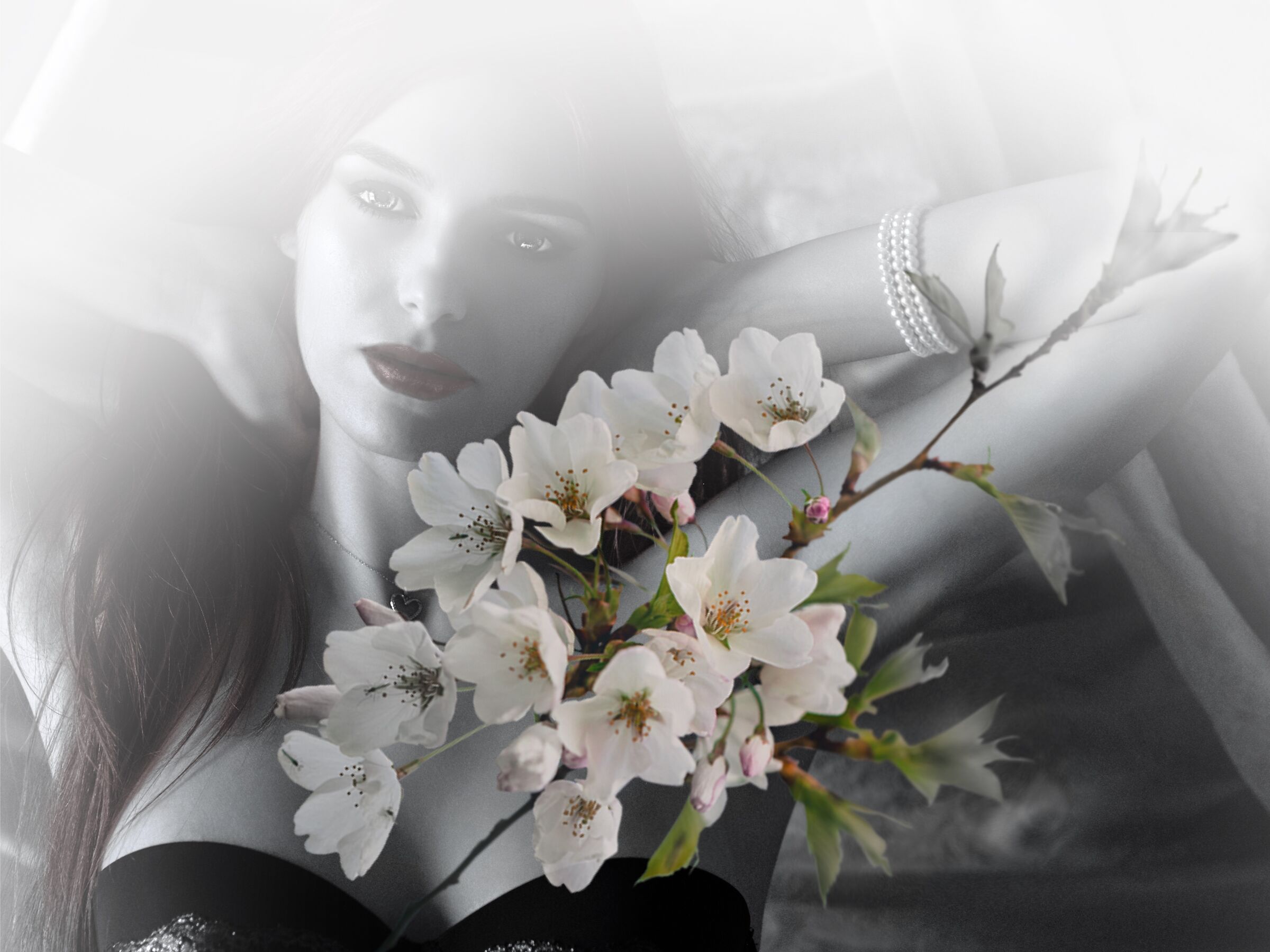 Like almond trees in bloom