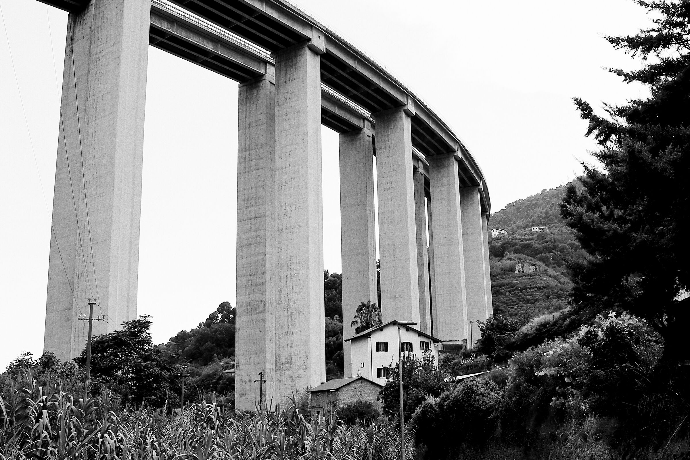 Untitled Photo