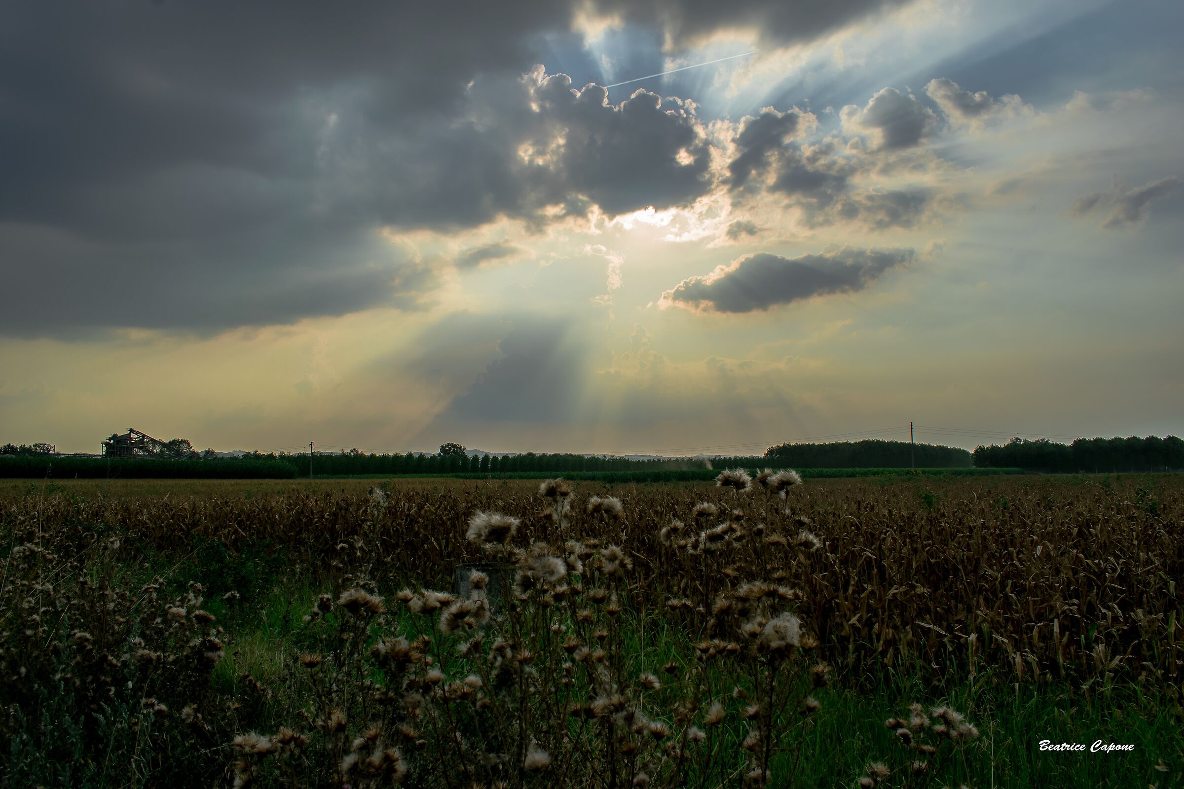 Colori del cielo - Alto Monferrato