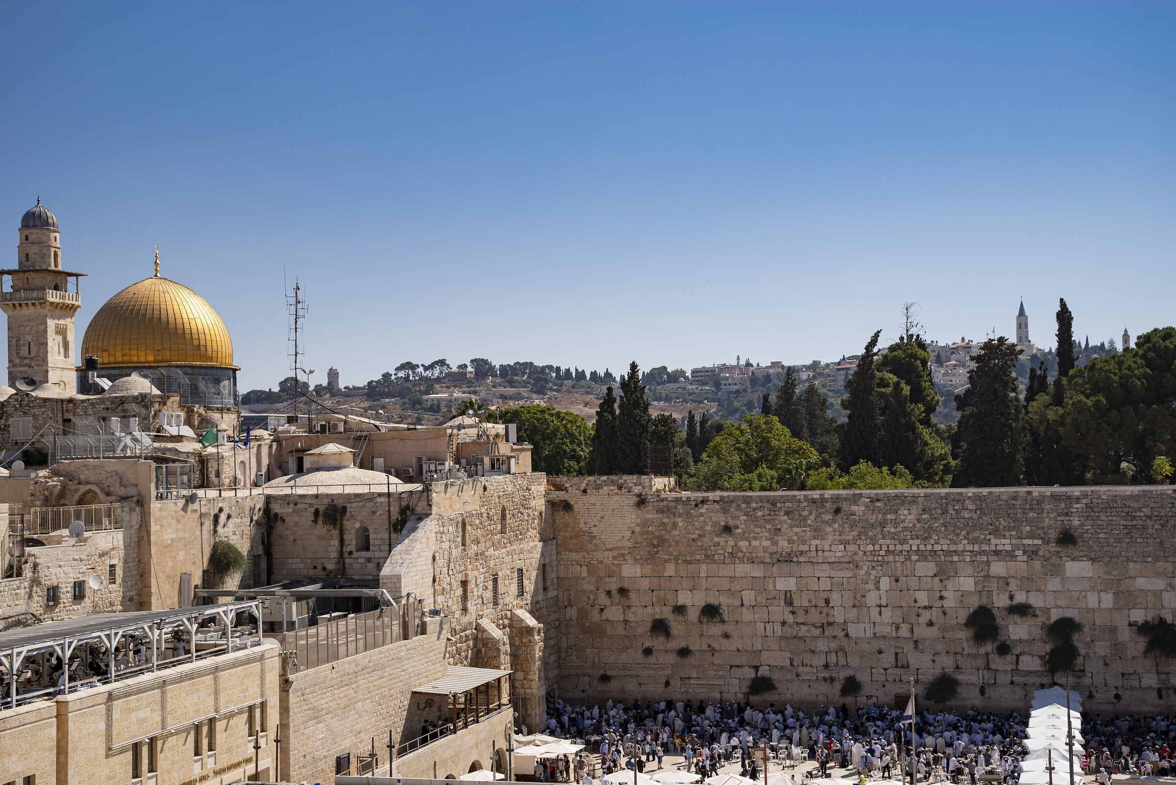 ... i motivi della contesa