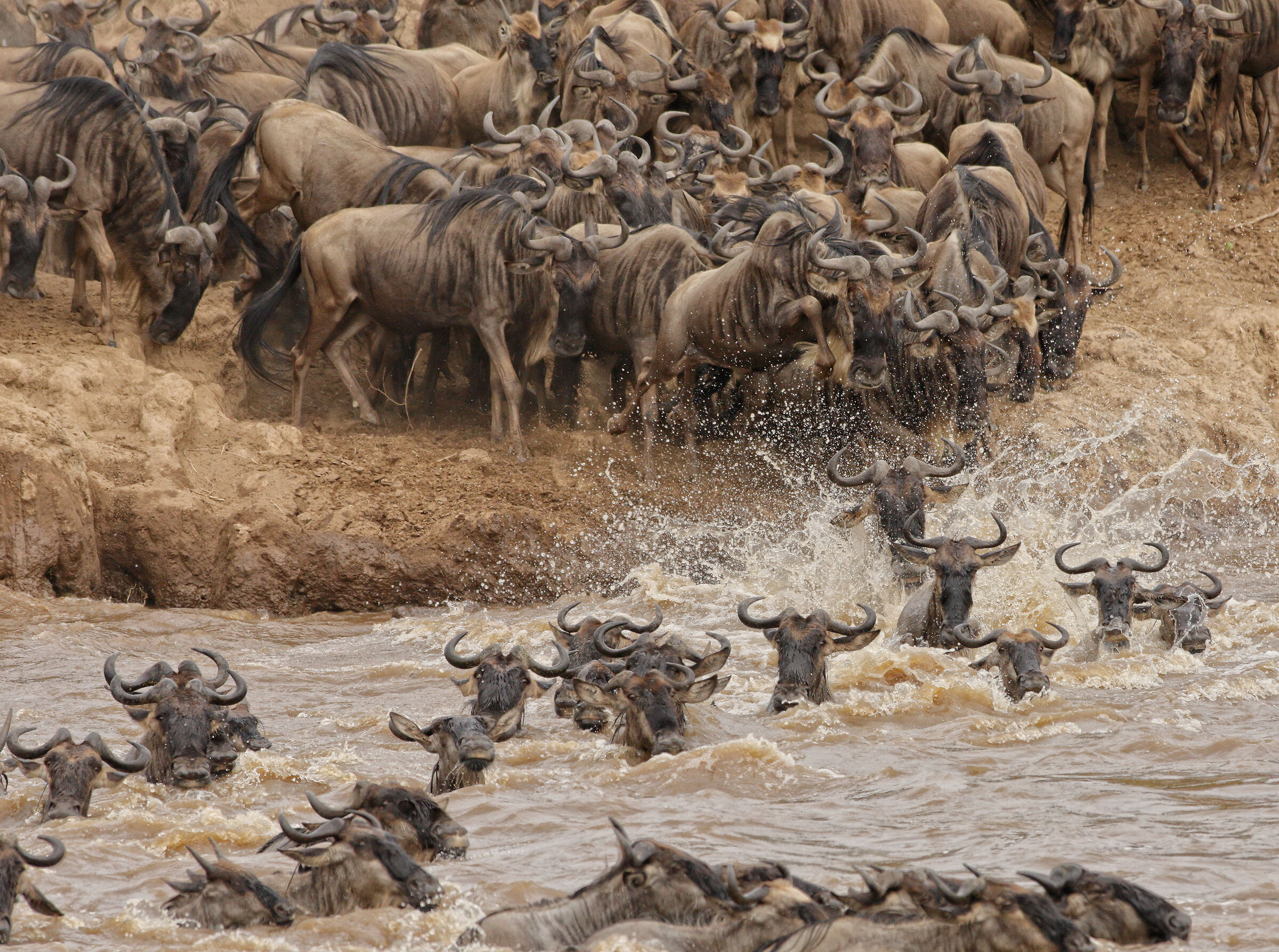 Mara Crossing
