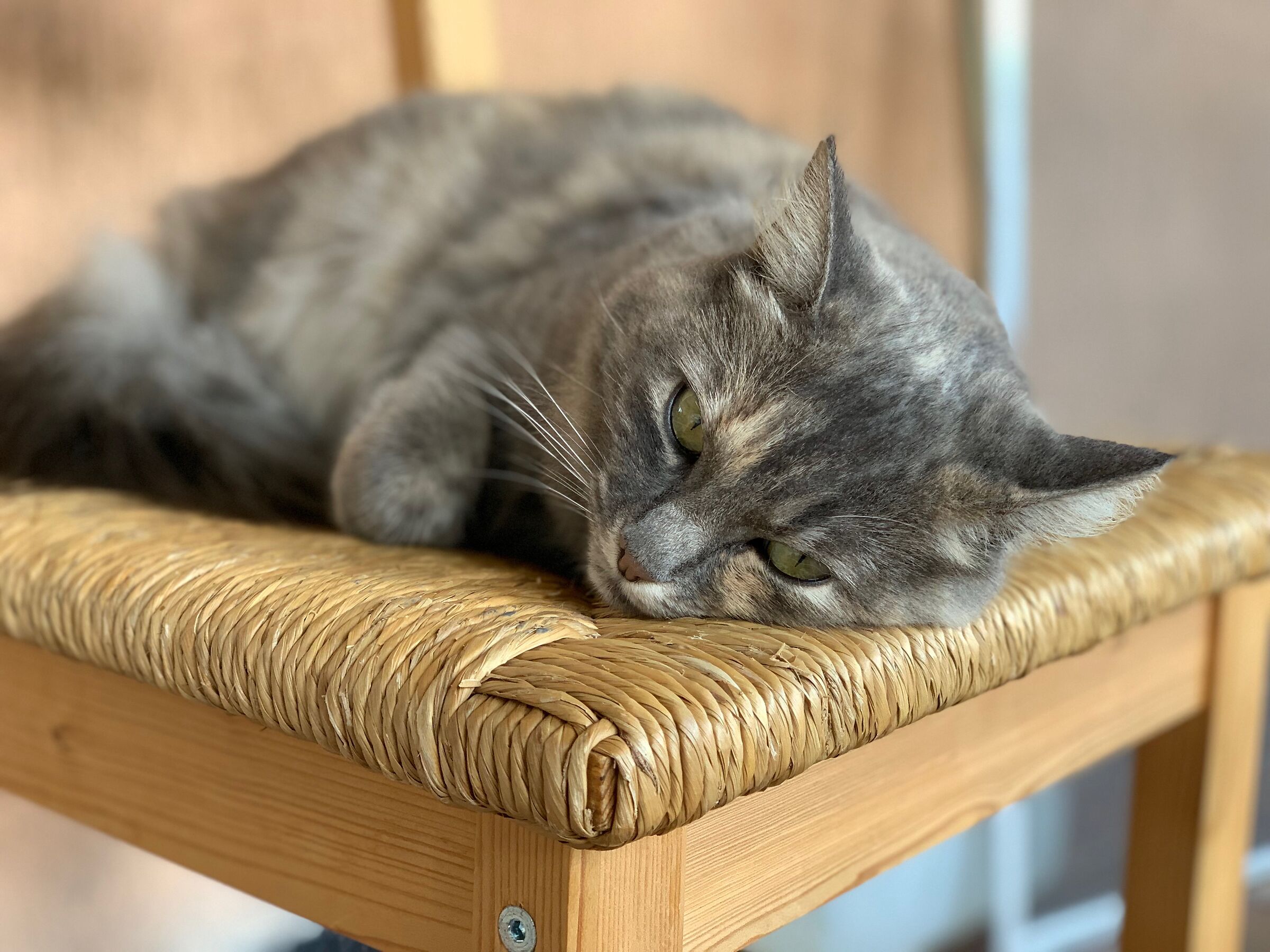 Look of understanding