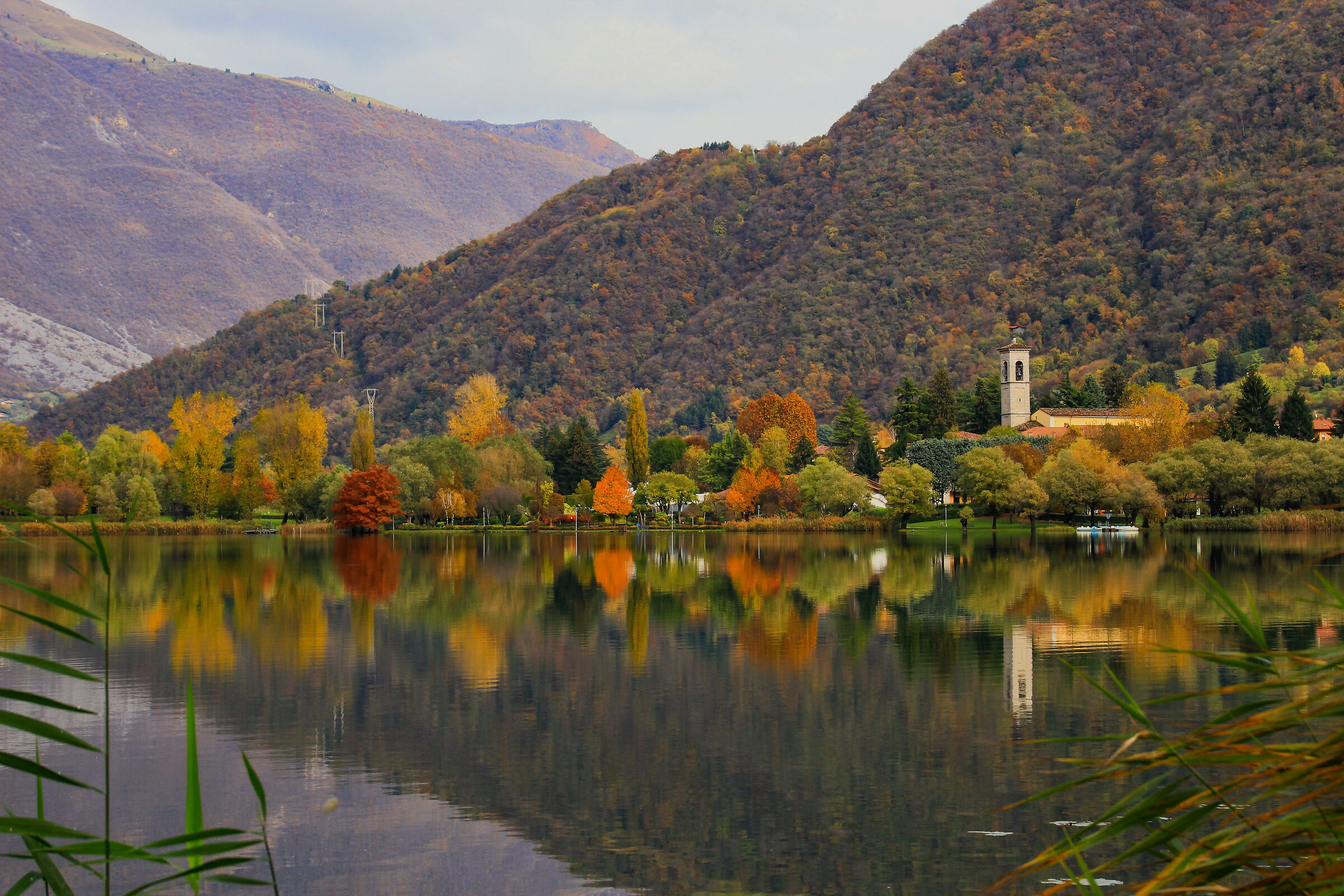 I soliti riflessi (1)