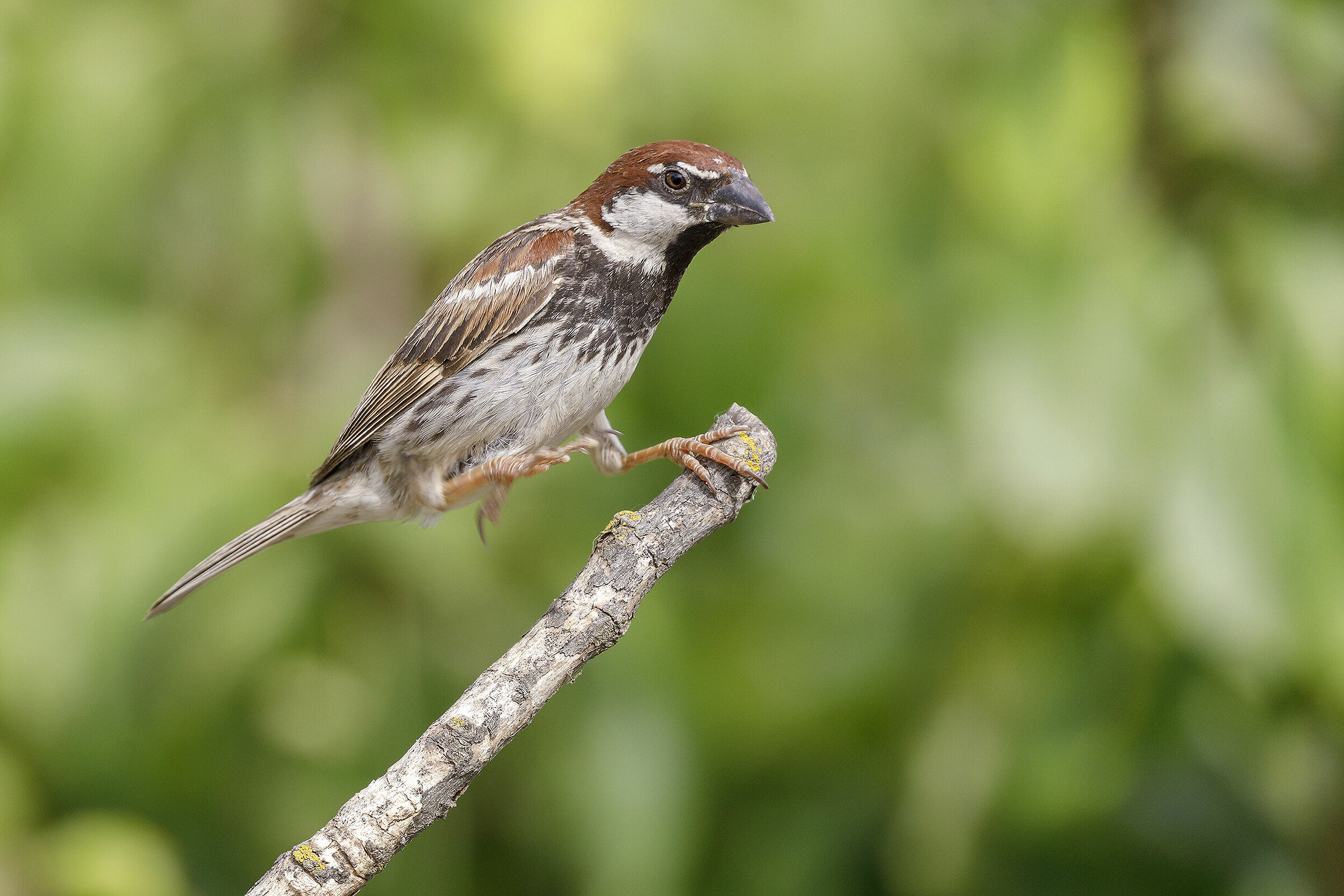 Humble... but better than nothing.