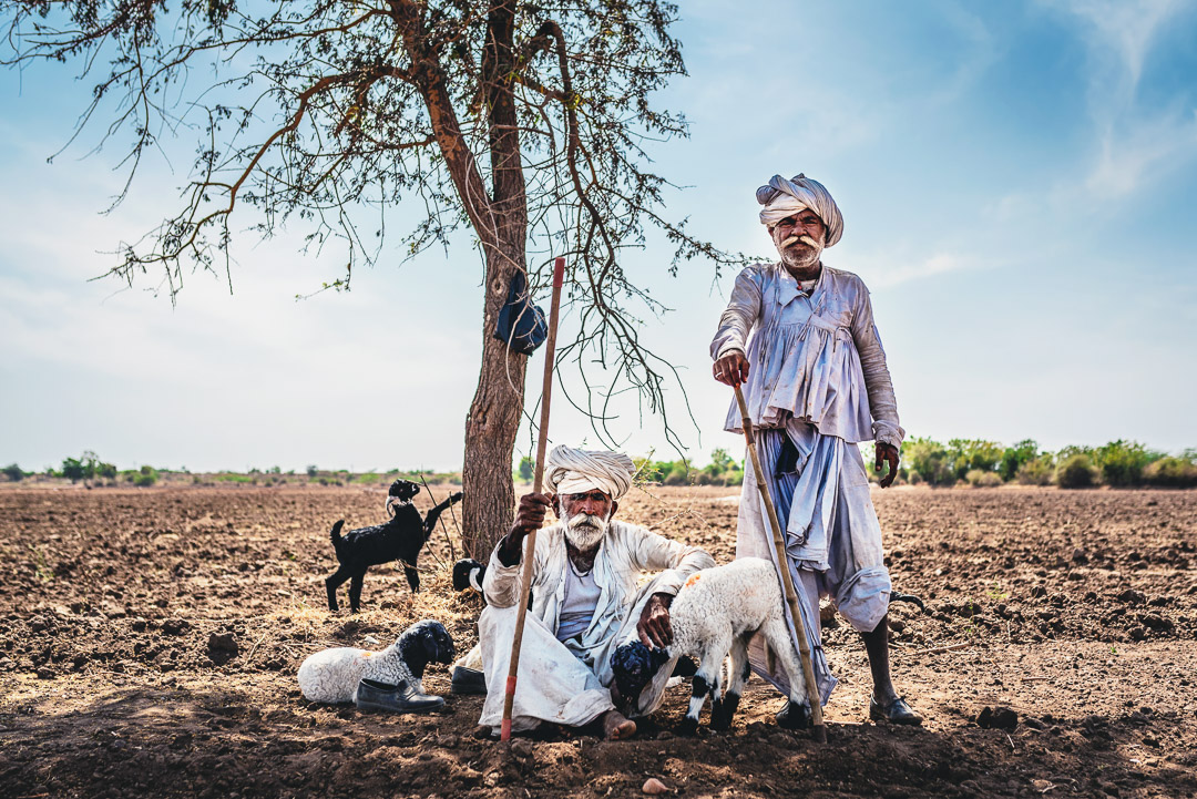 .: Waiting for the Caravan :.