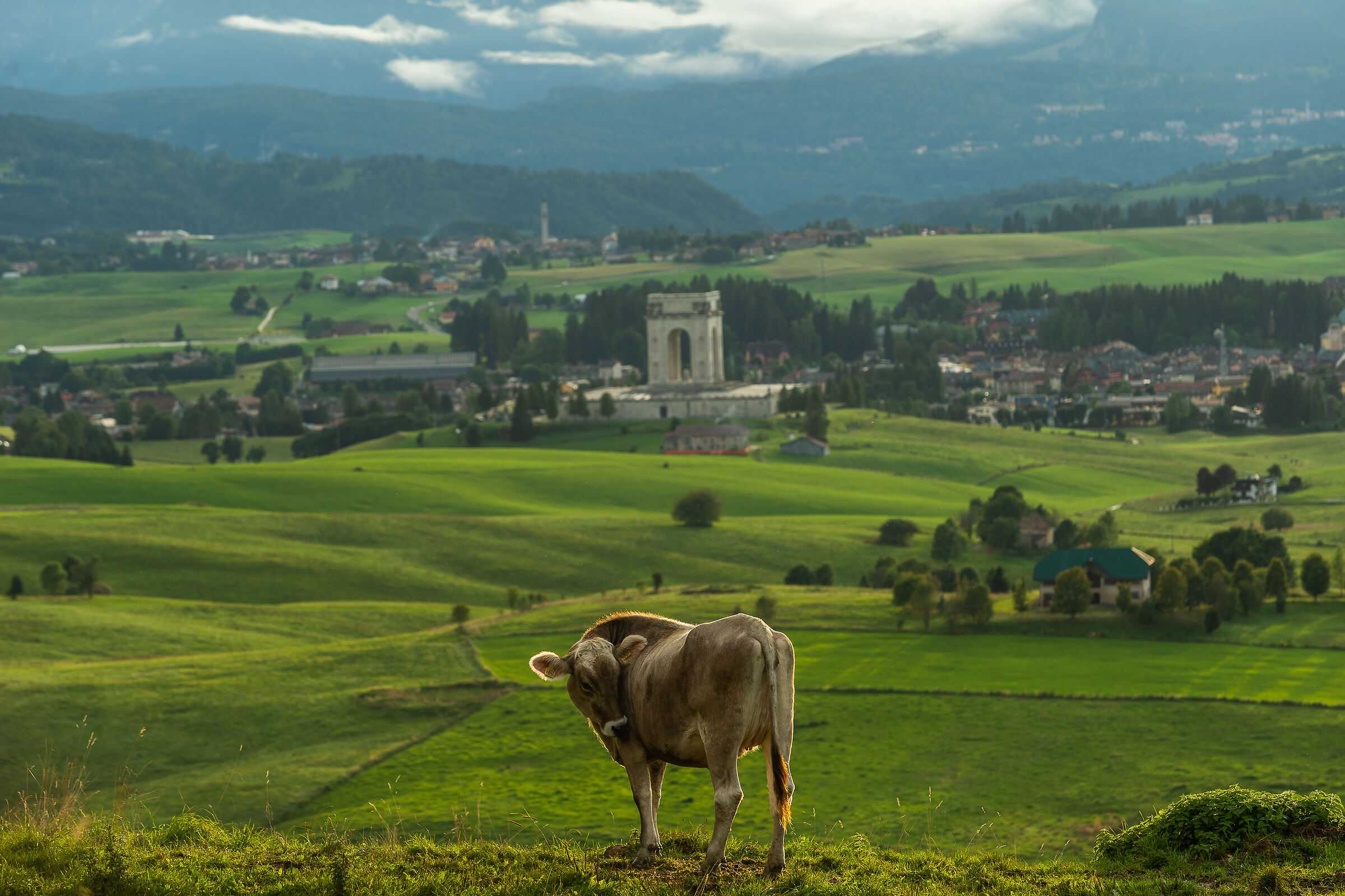 La Mucca e Asiago