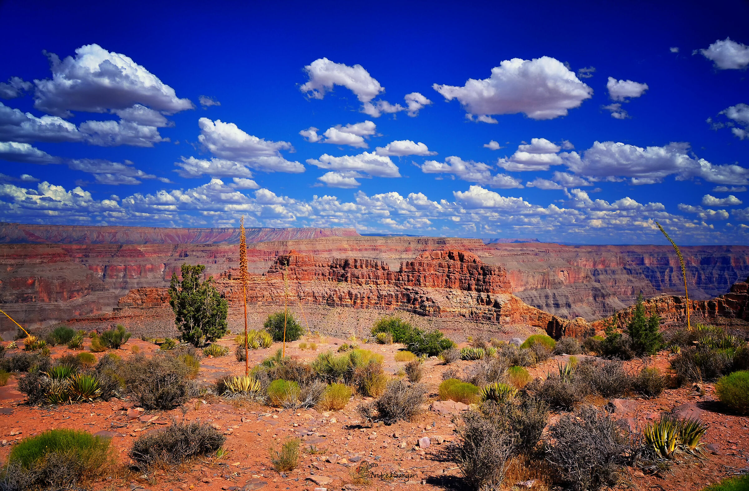 Il Grand Canyon ti lascia senza parole....