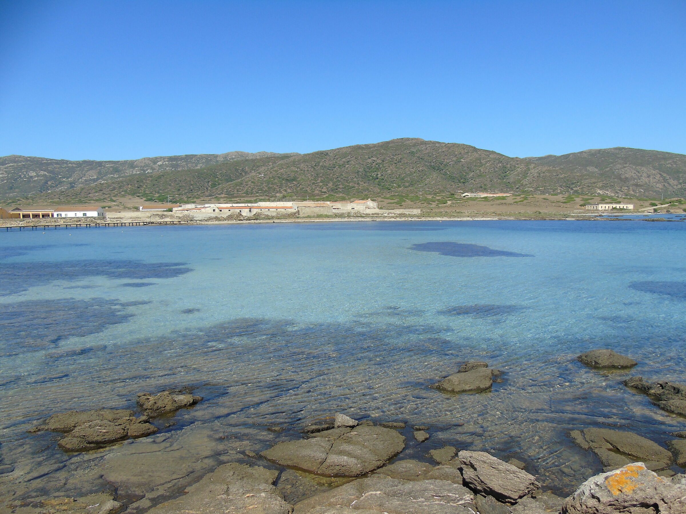 Isola Dell'Asinara