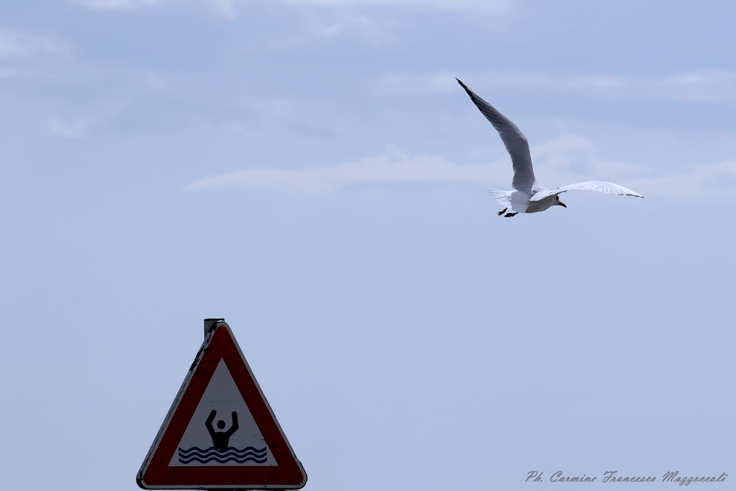Quando la "Natura" ci volterà le spalle