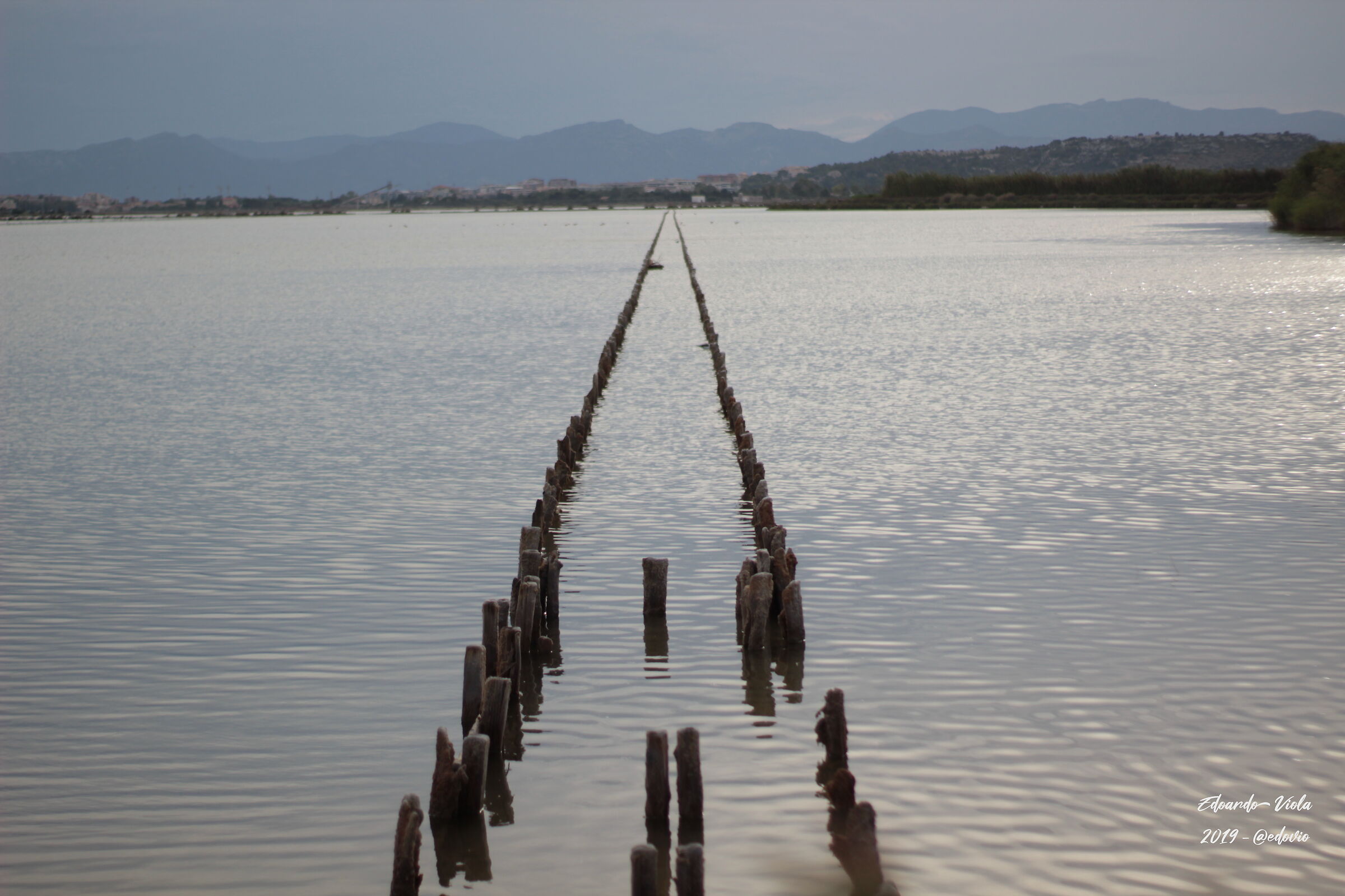 Lo stagno verso l'infinito