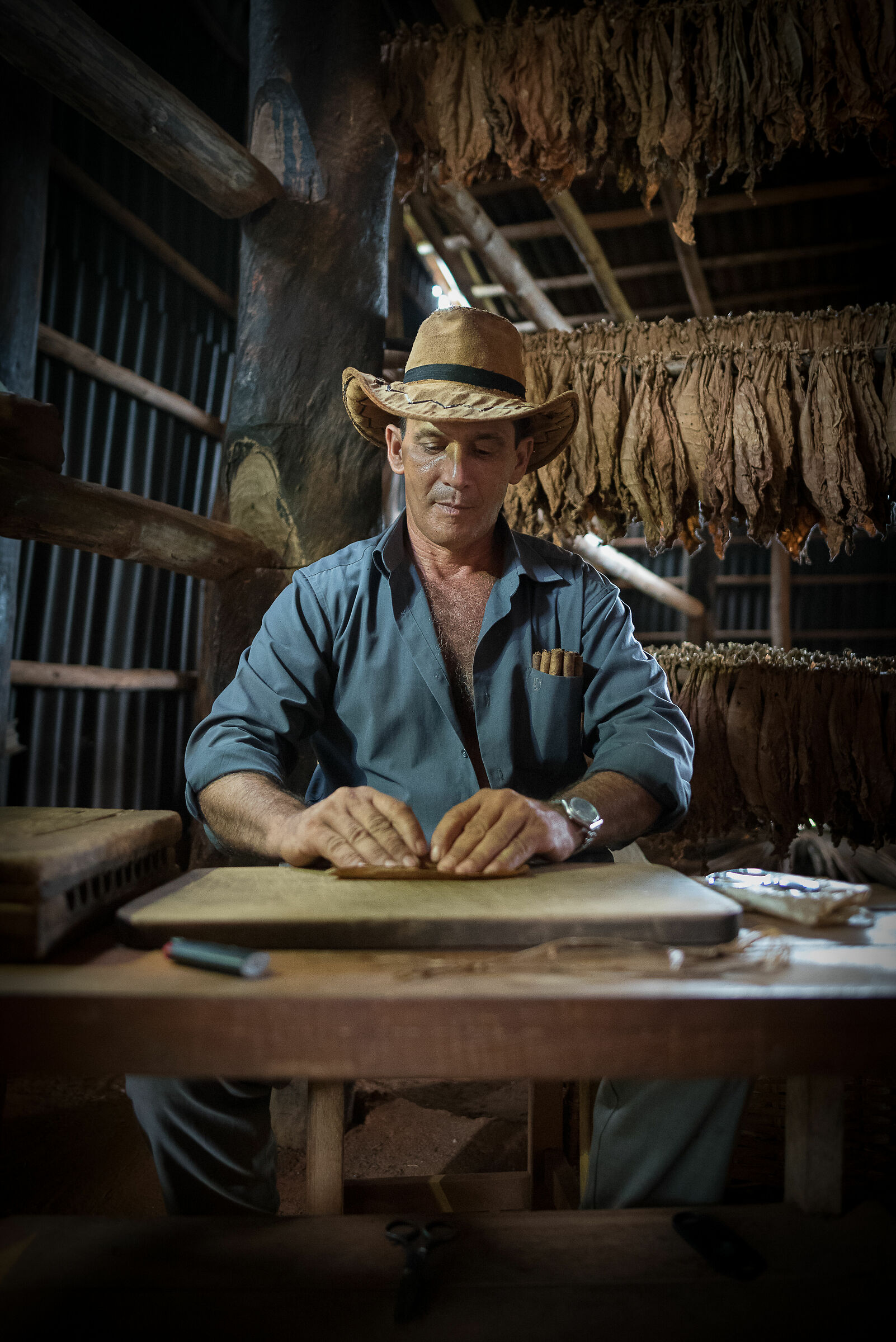 in the cigar factory