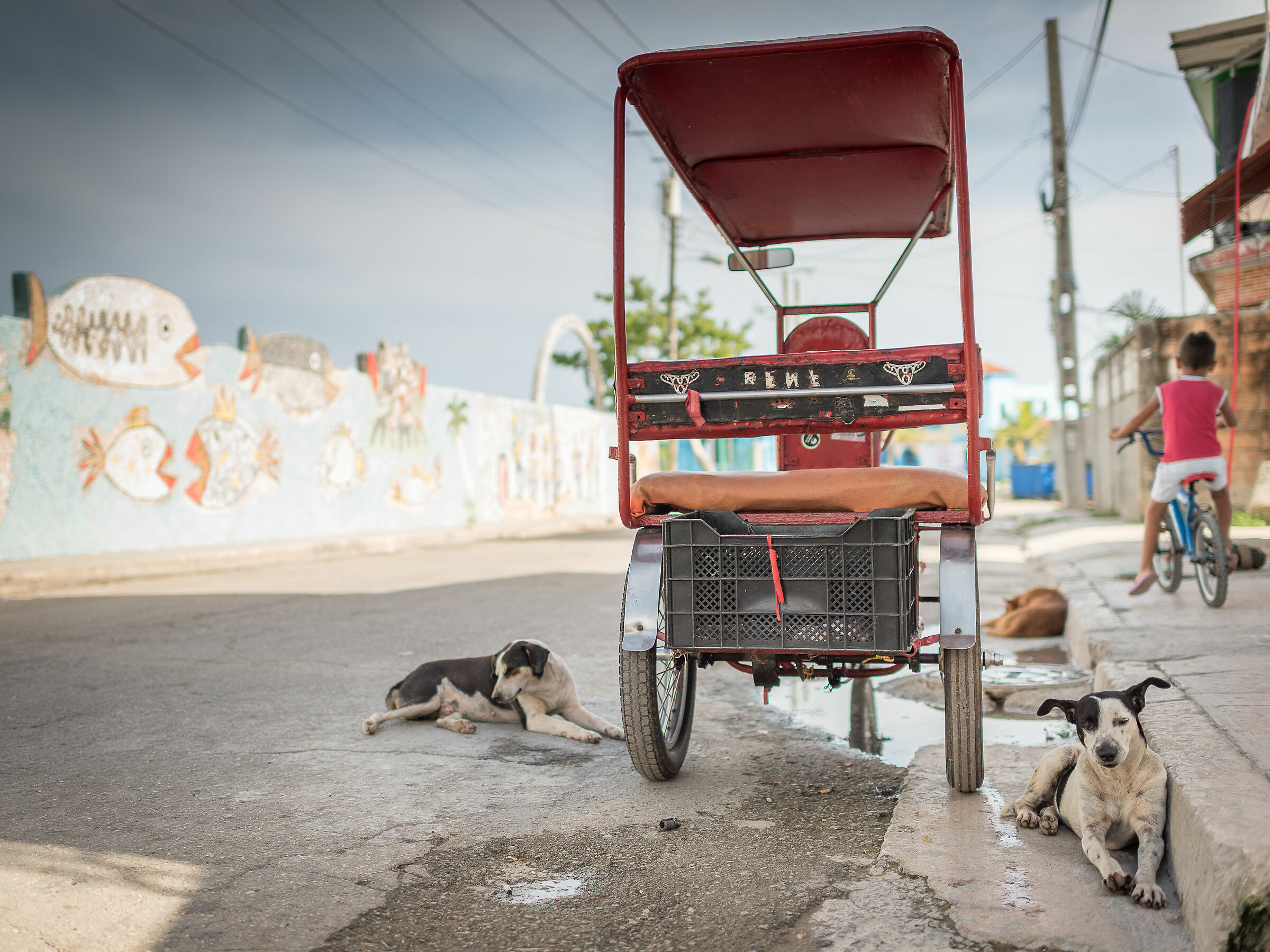 sorvegliato speciale