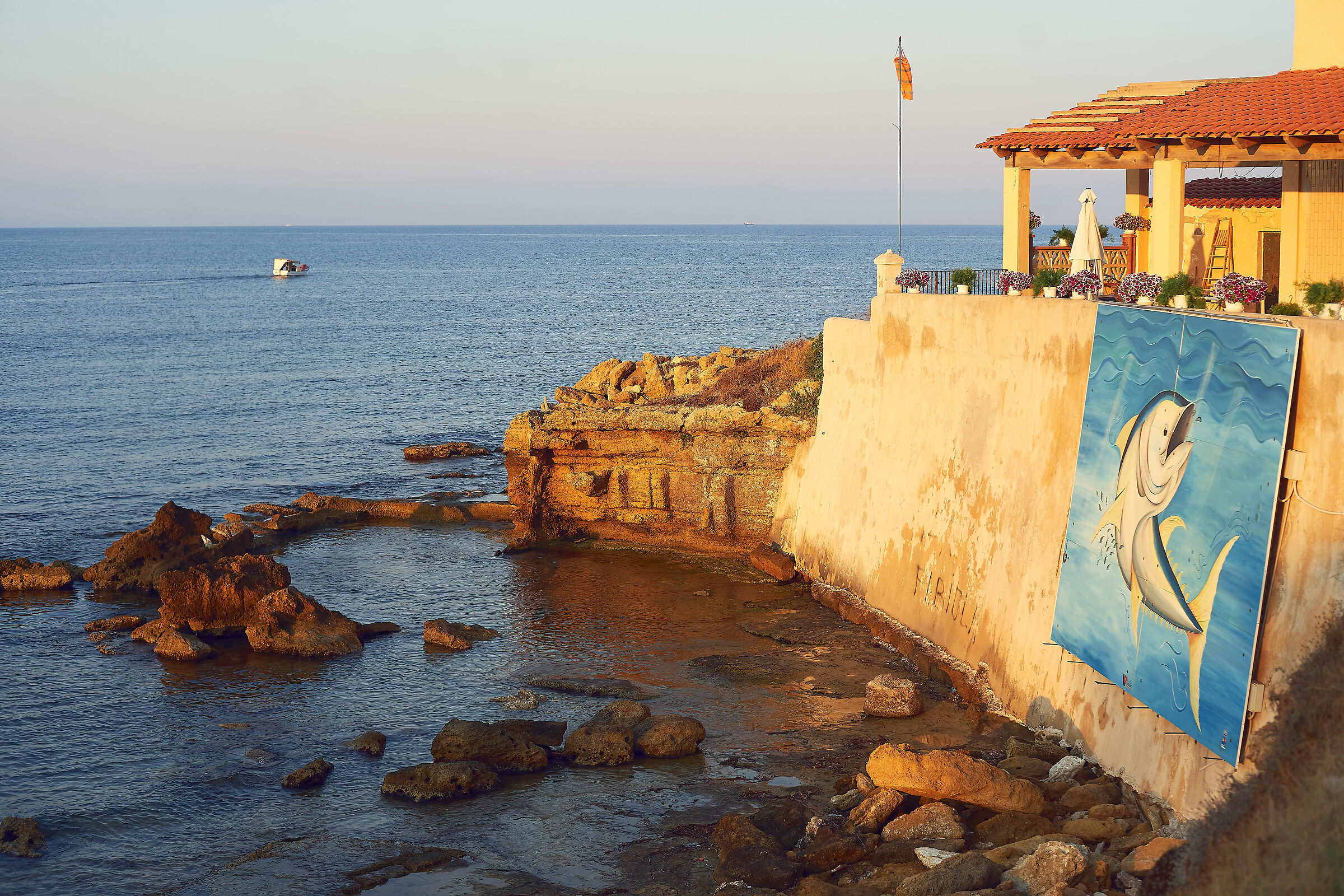 Granite Turret, morning habits at dawn