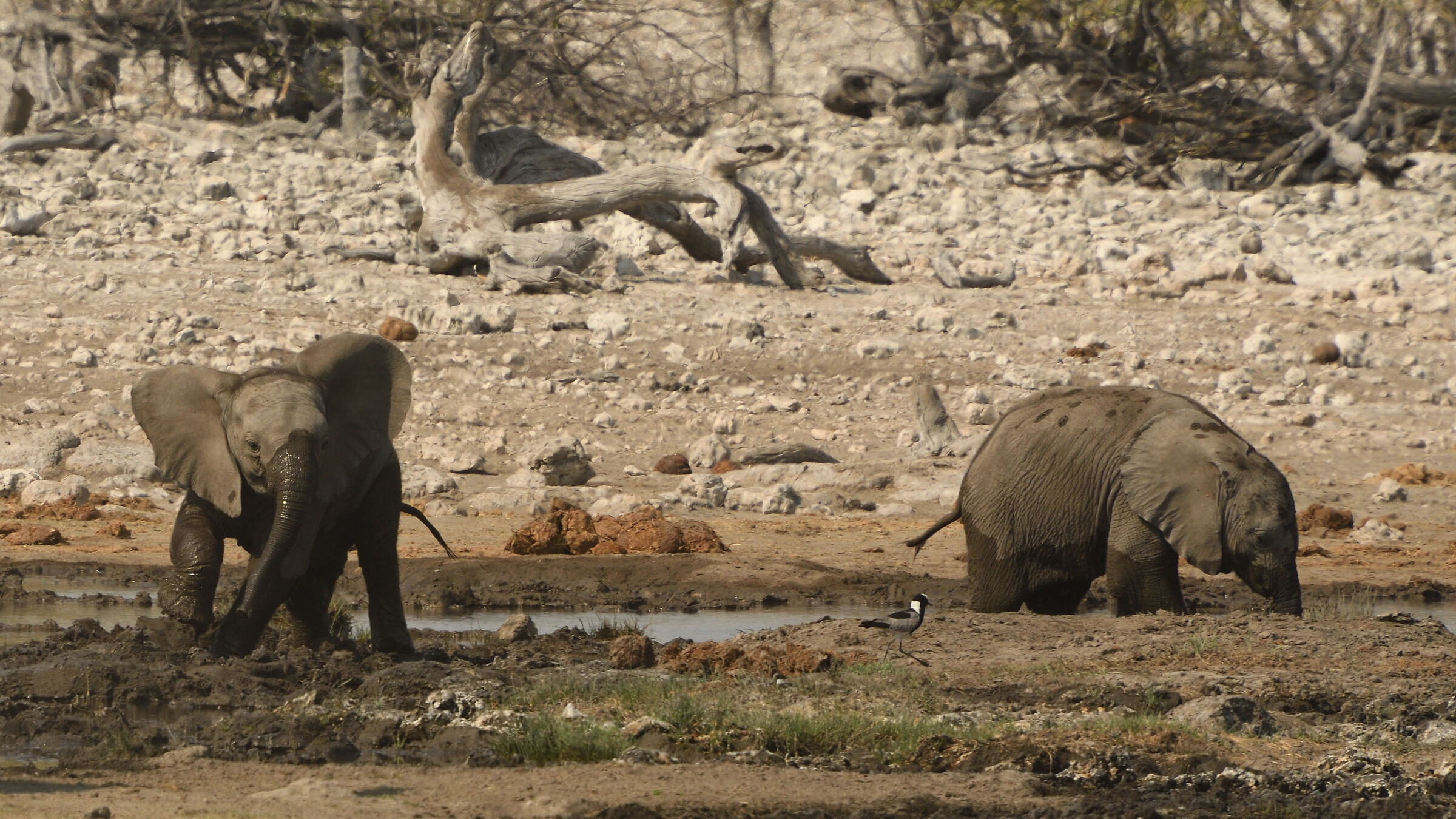 Namibia ... kindergarden
