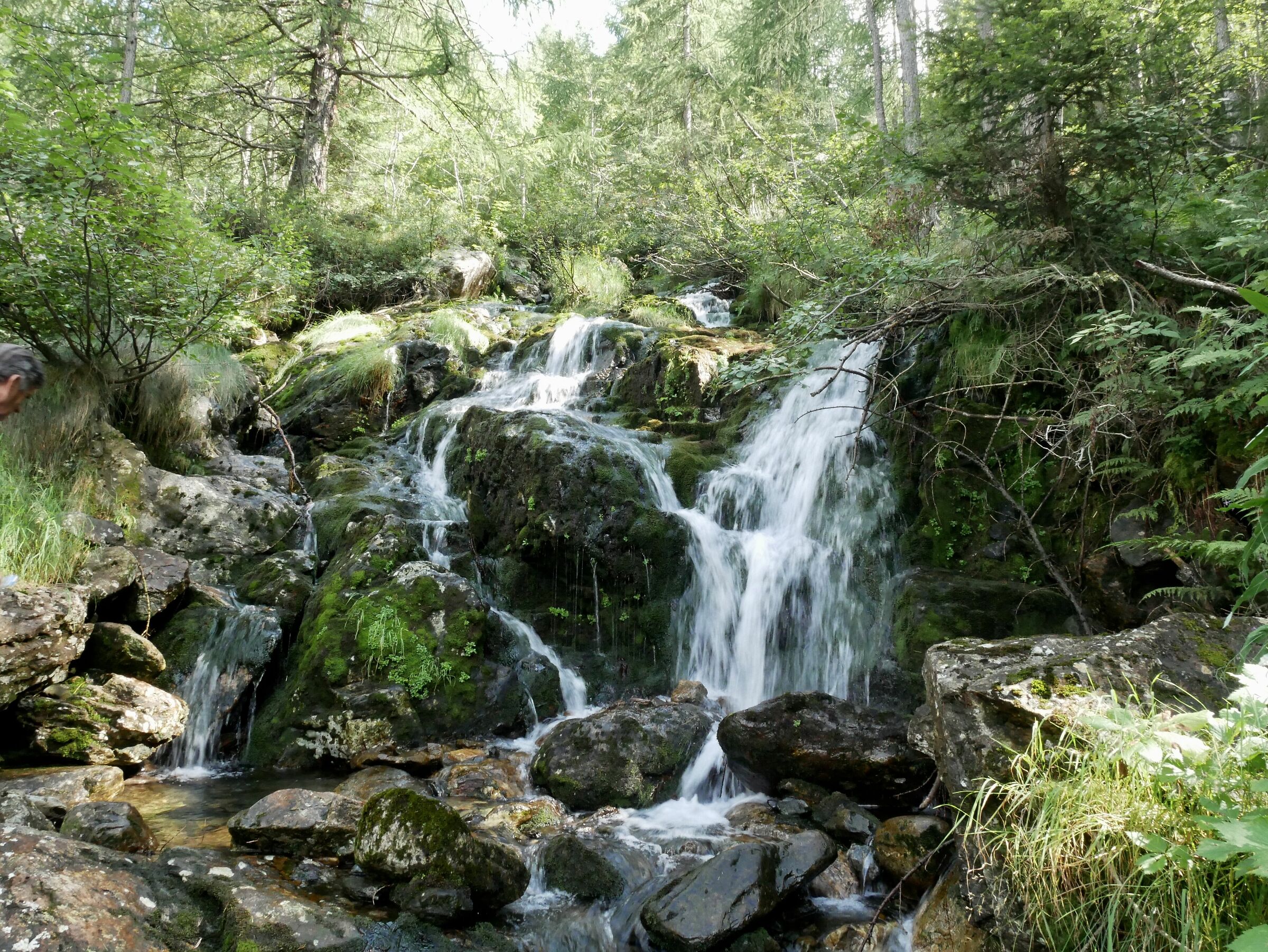 Water is smart, pragmatic, efficient