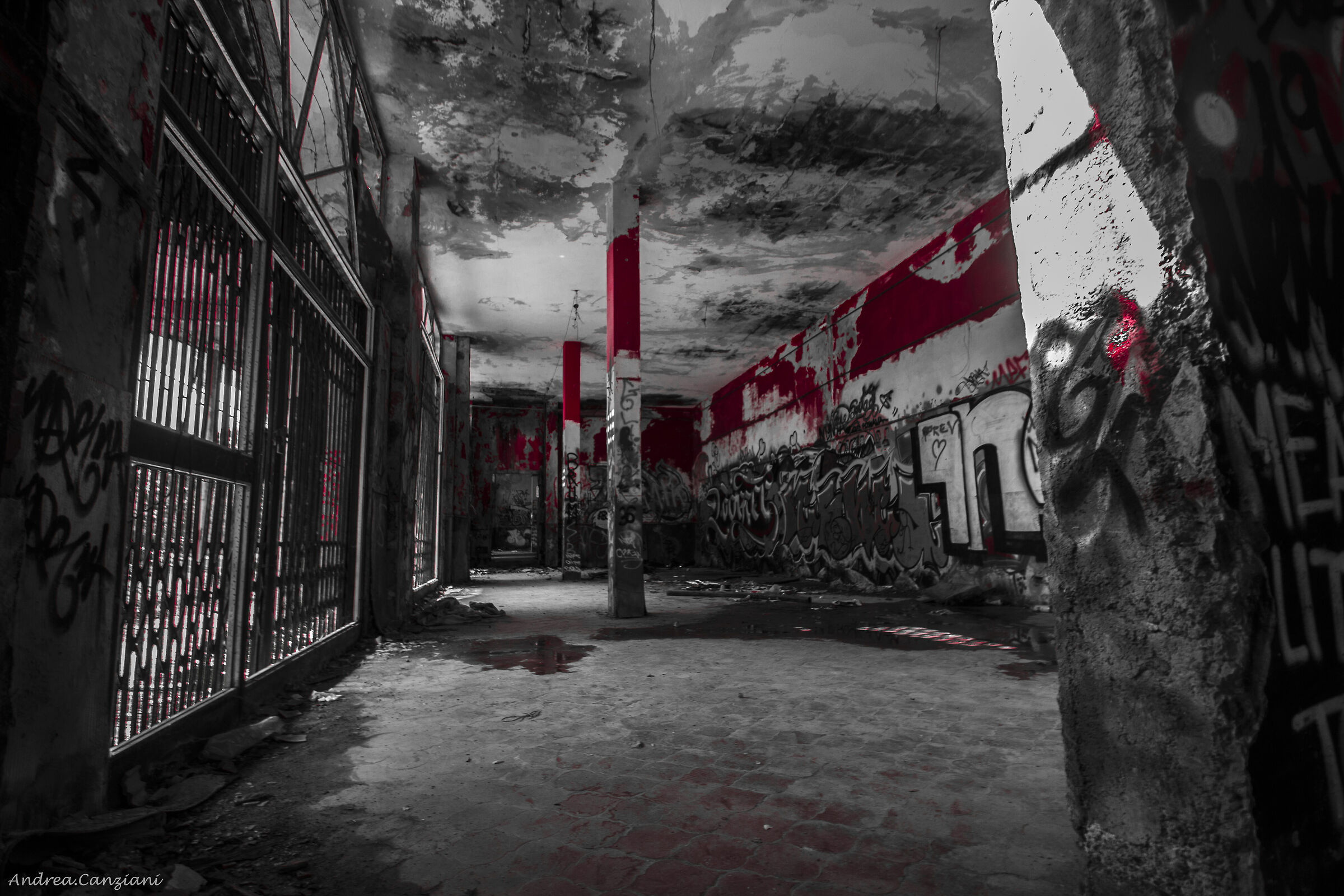 Bianco Nero & Rosso sangue