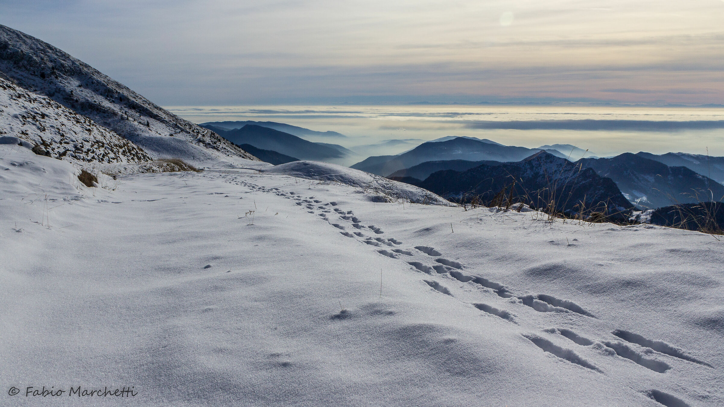 ... towards Mount William