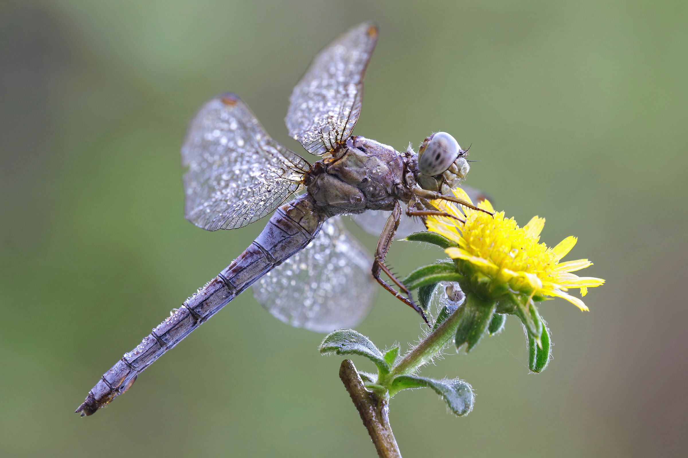 .....l'estate sta finendo !