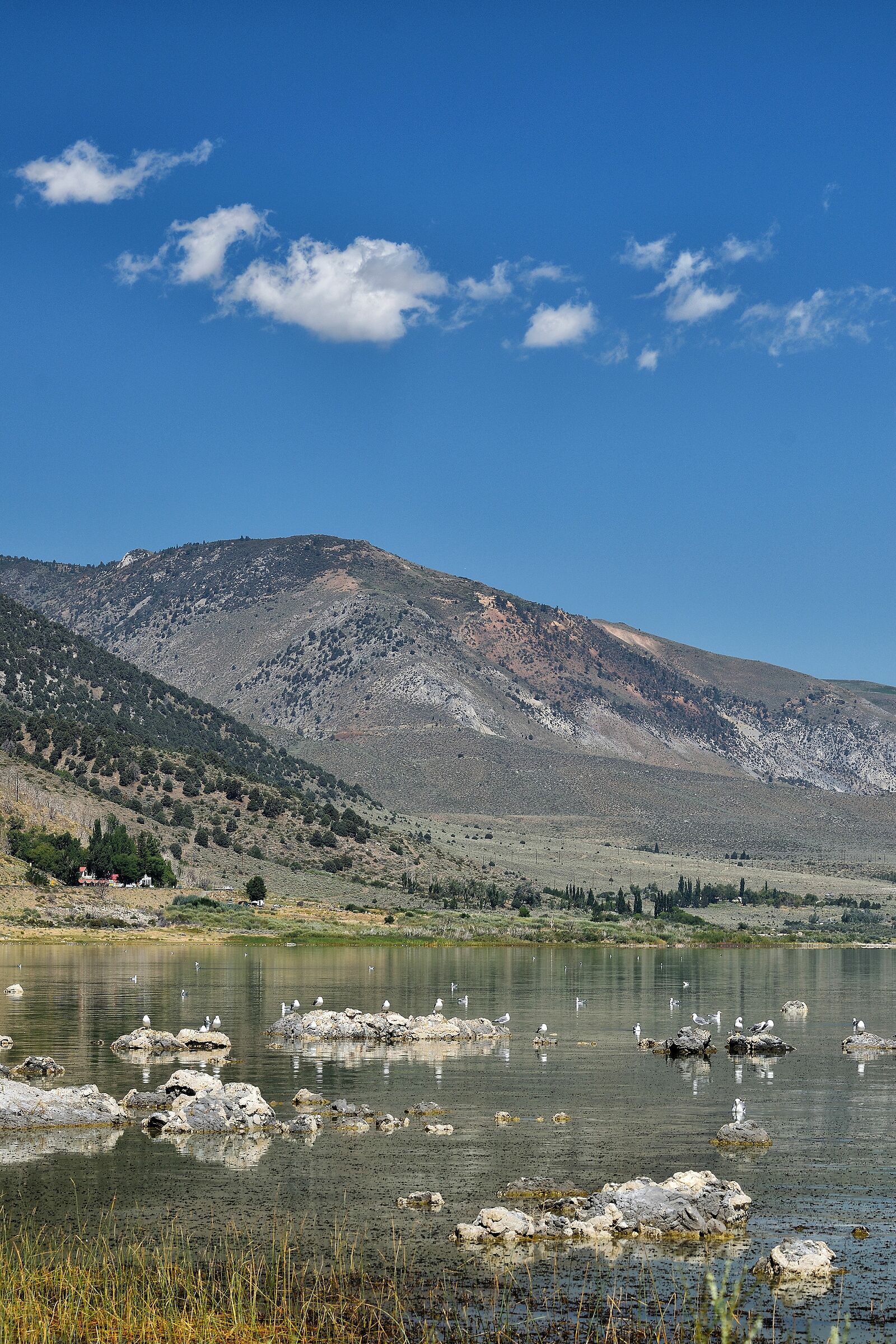 Mono Lake