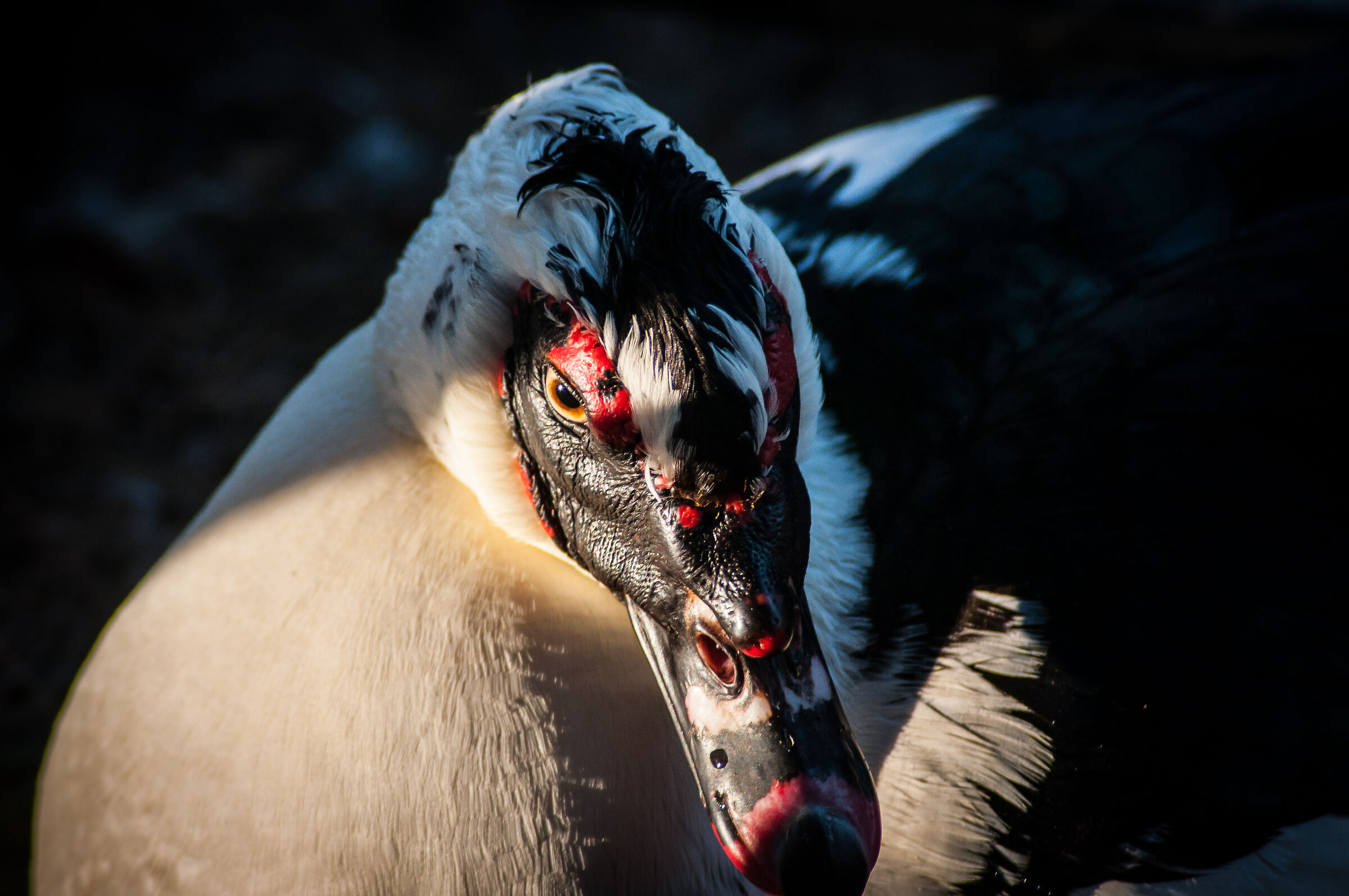 Lo sguardo che non ti aspetti