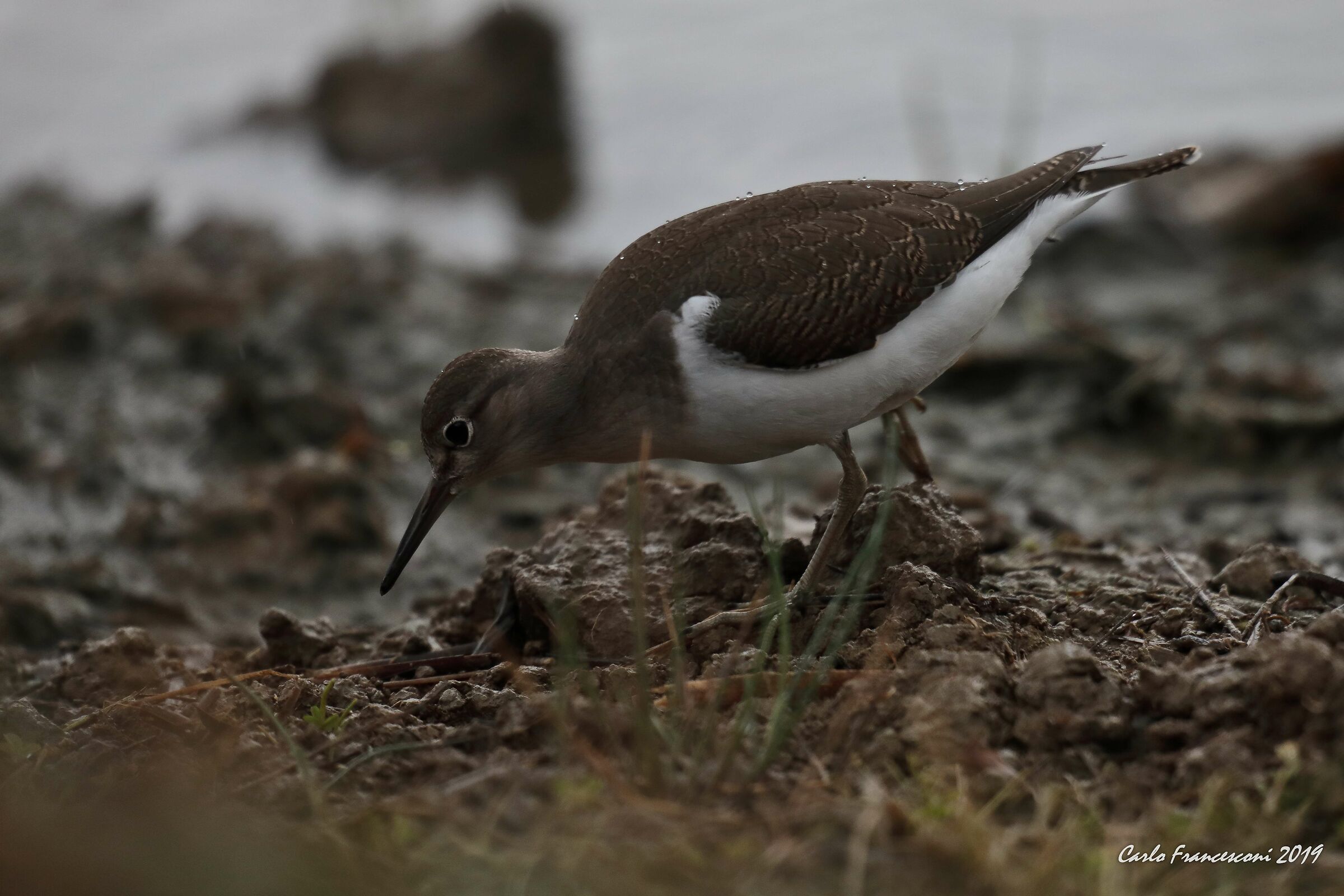 Those who search find