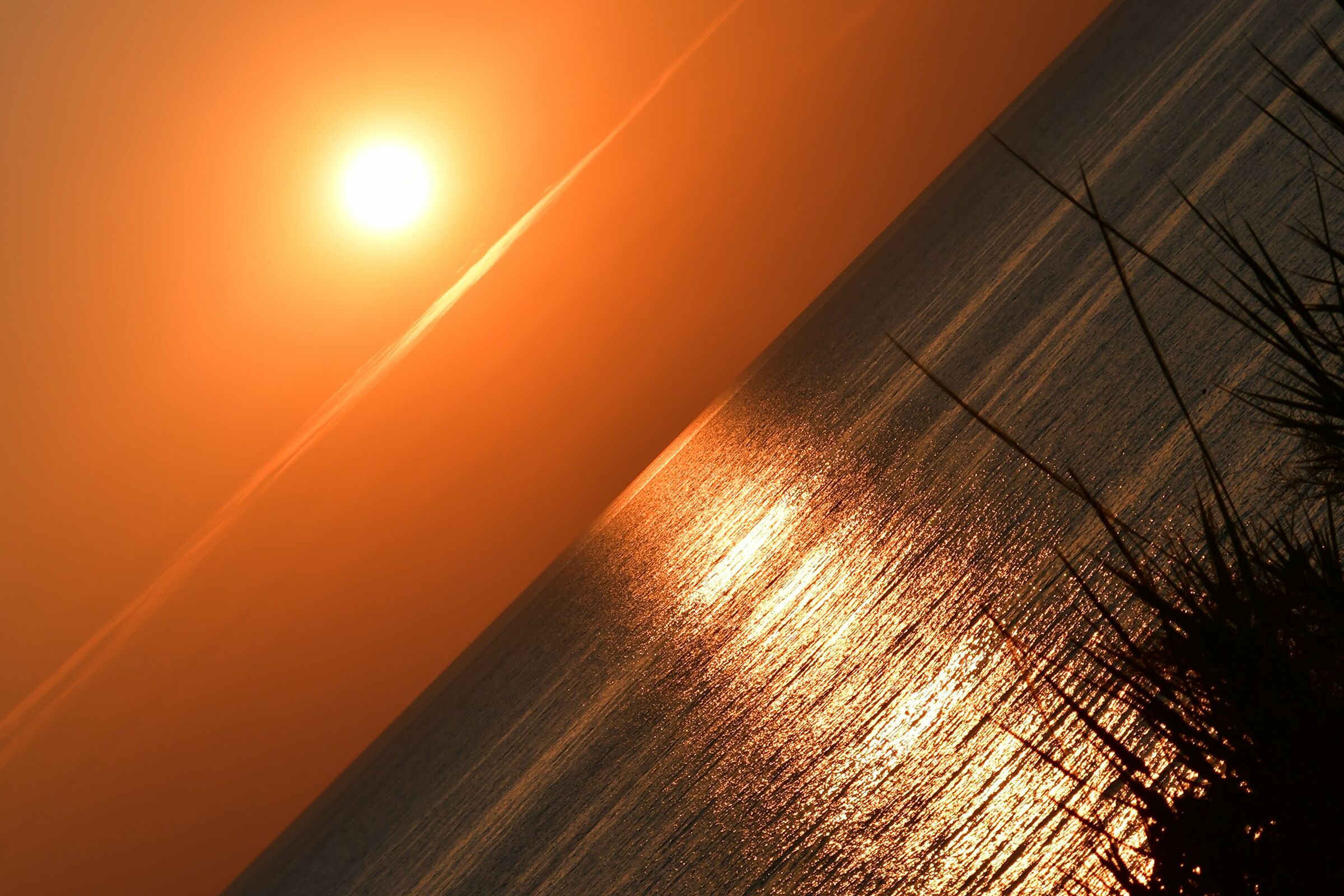 Different from the others............