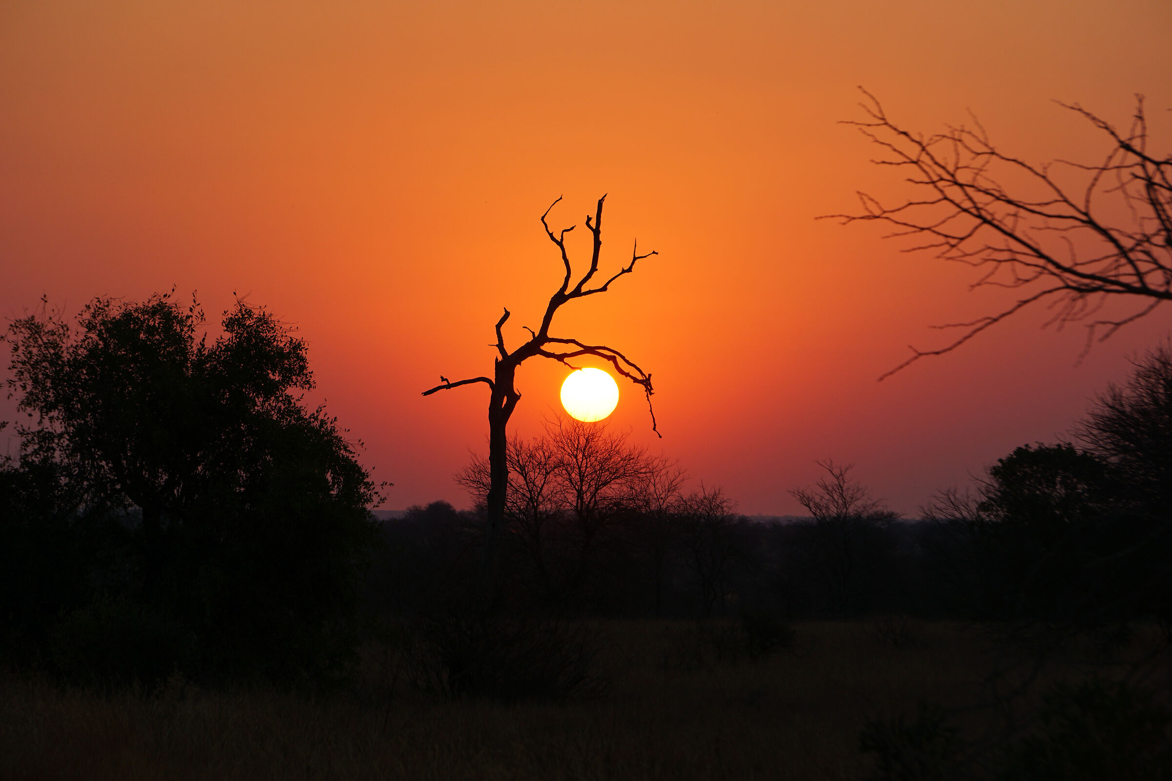 Tramonto africano