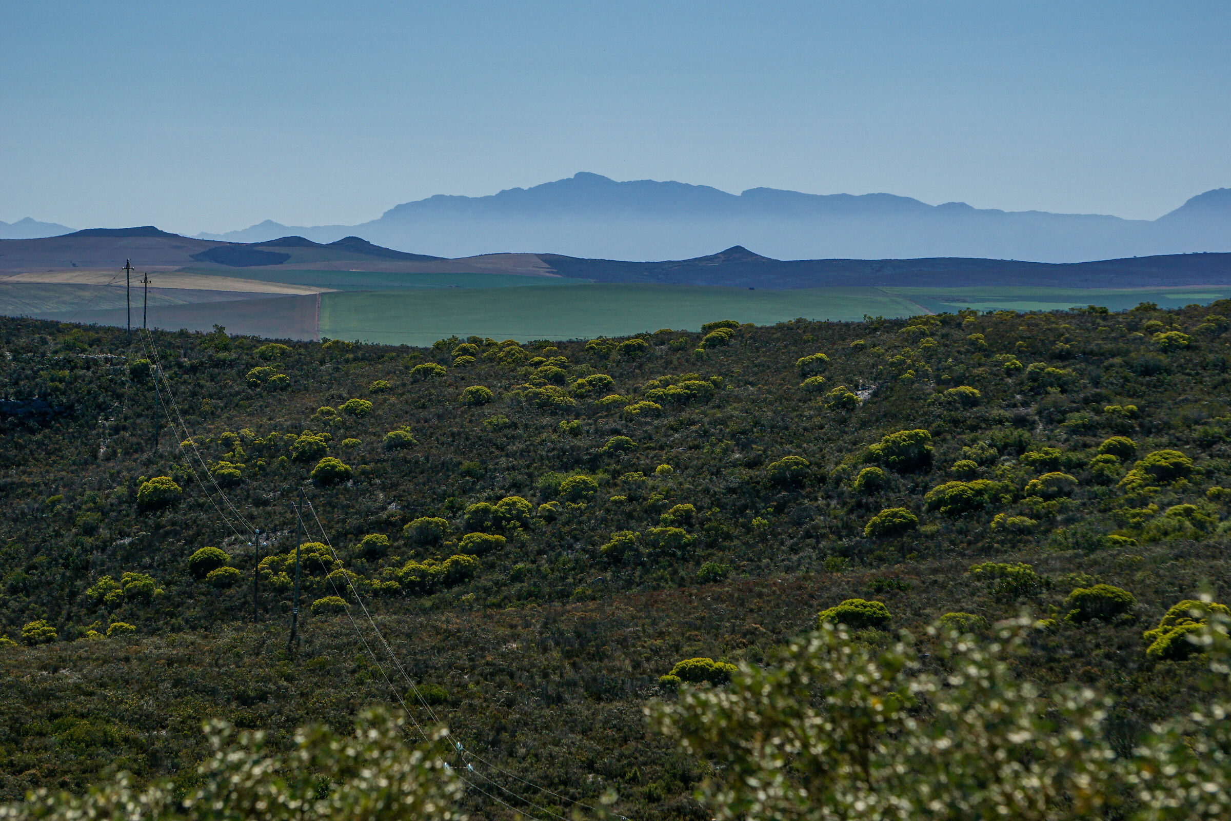 Paesaggi sud africani