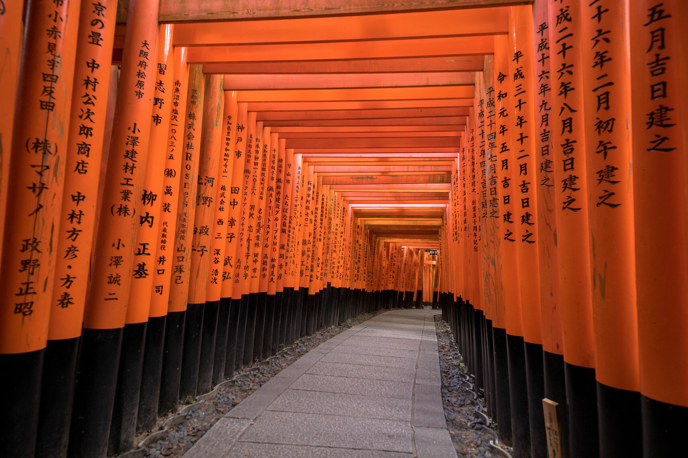 Fushimi Inari