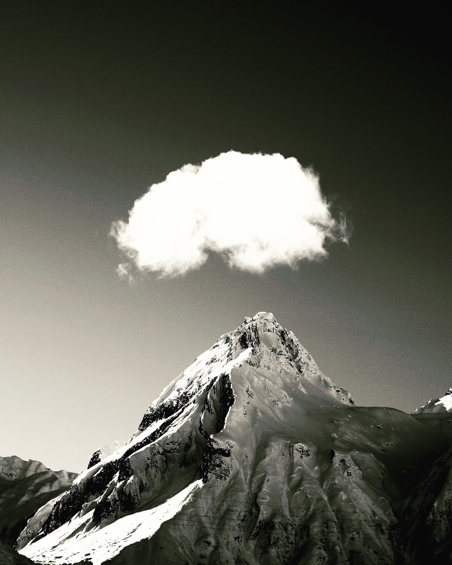 Whipped cream on top