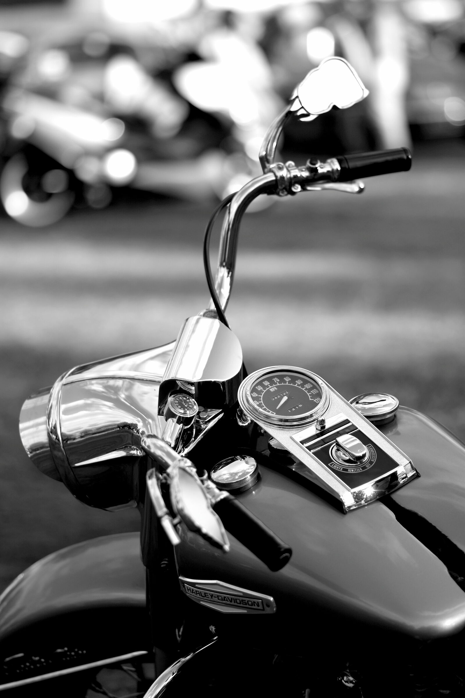 Rock'n Road 2019 - Harley