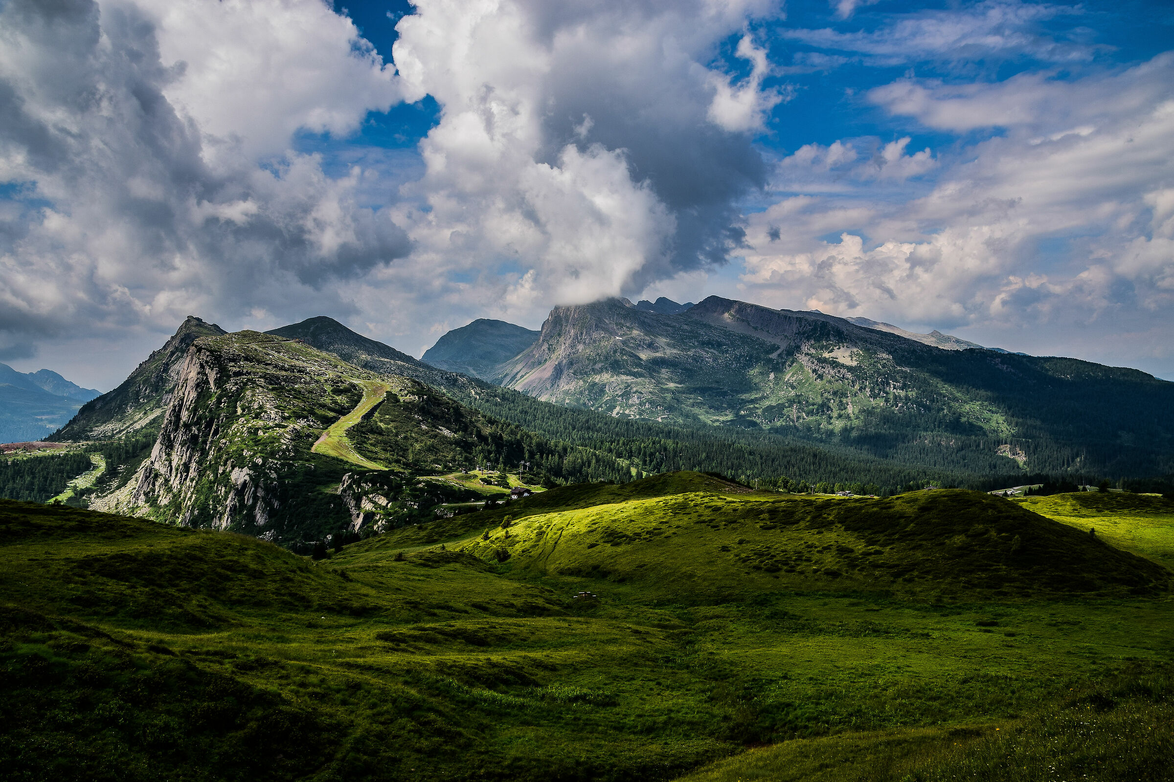 veduta dal Passo Rolle