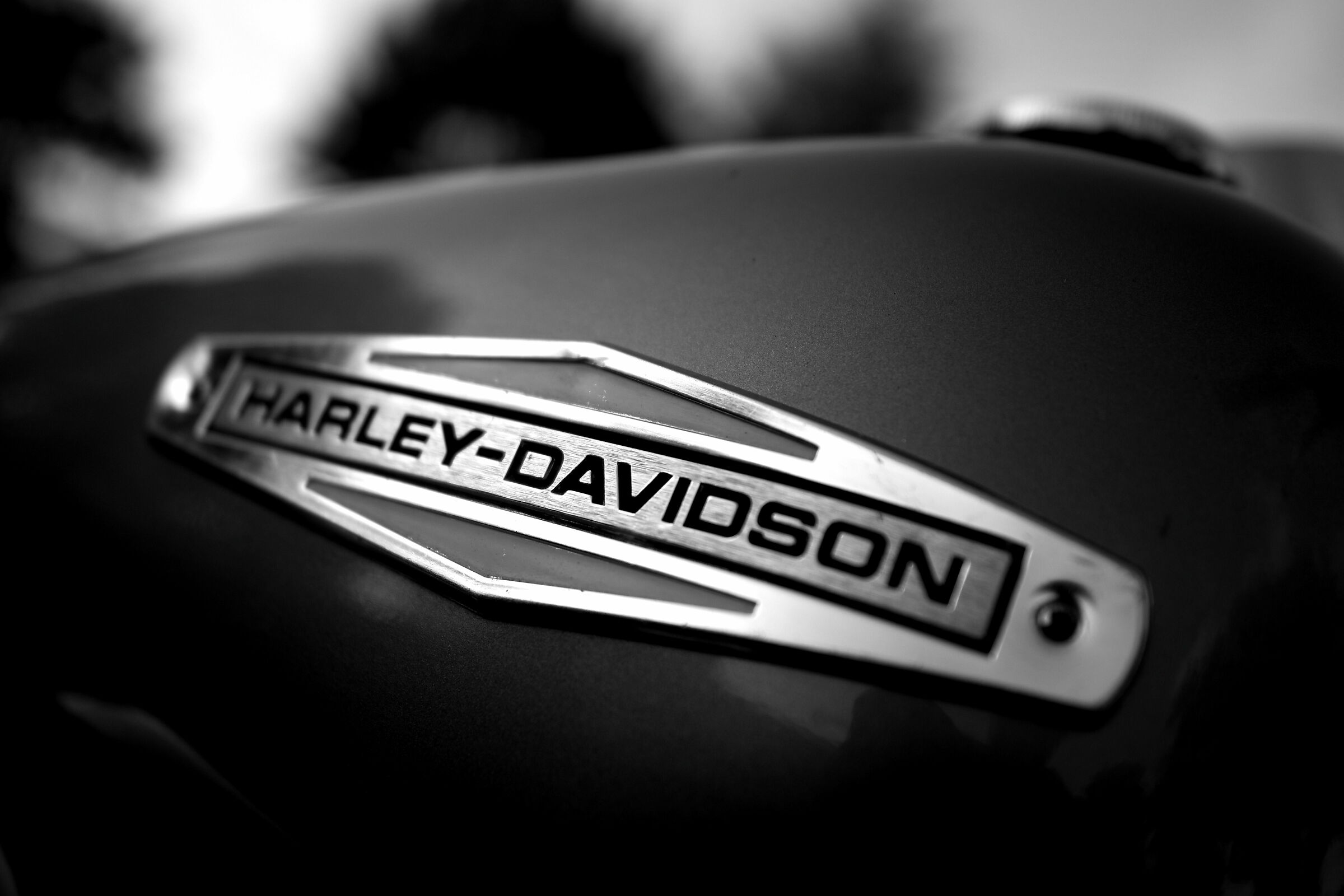 Rock'n Road 2019 - Serbatoio Harley