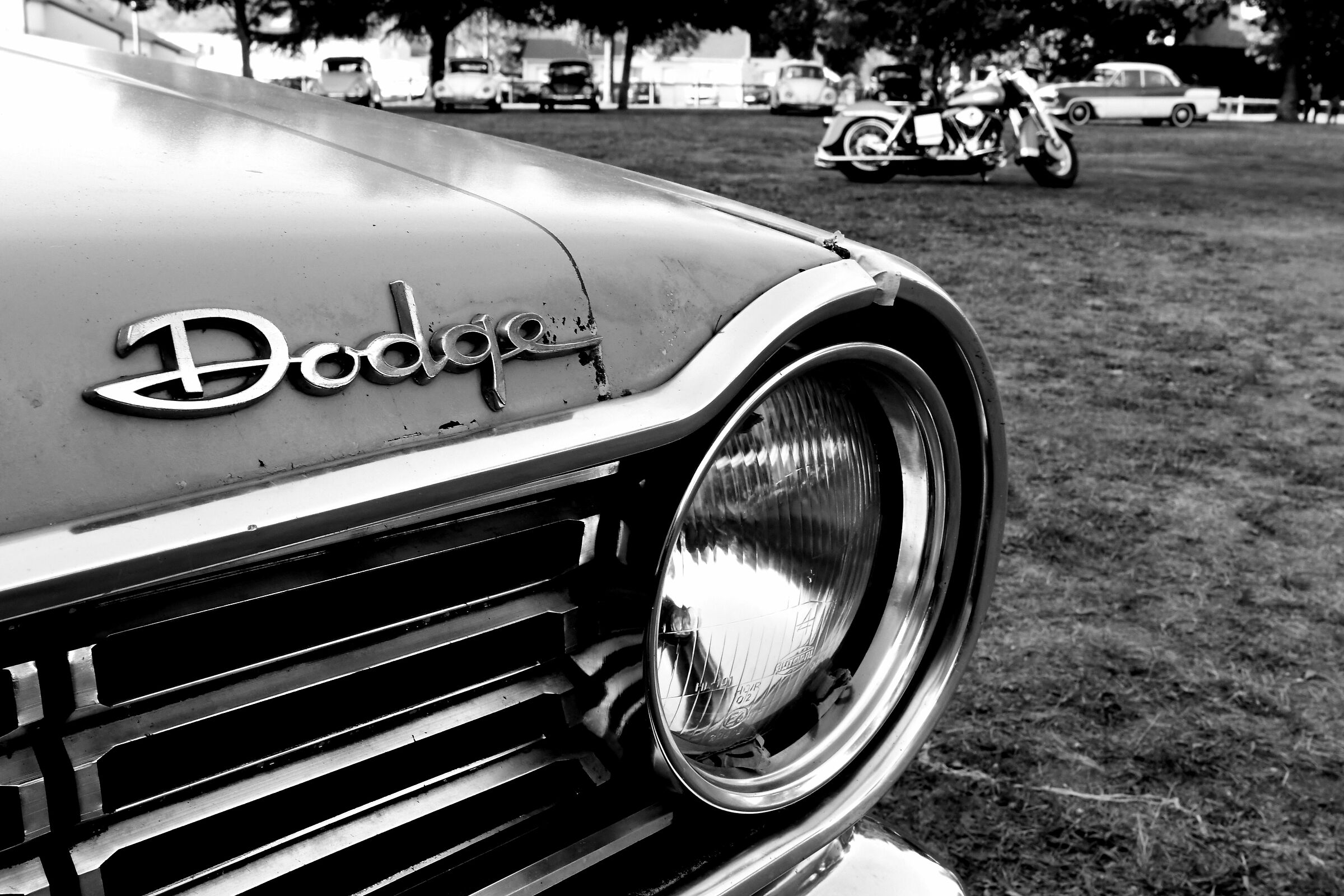 Rock'n Road 2019 - Schivare - Harley nella parte posteri...