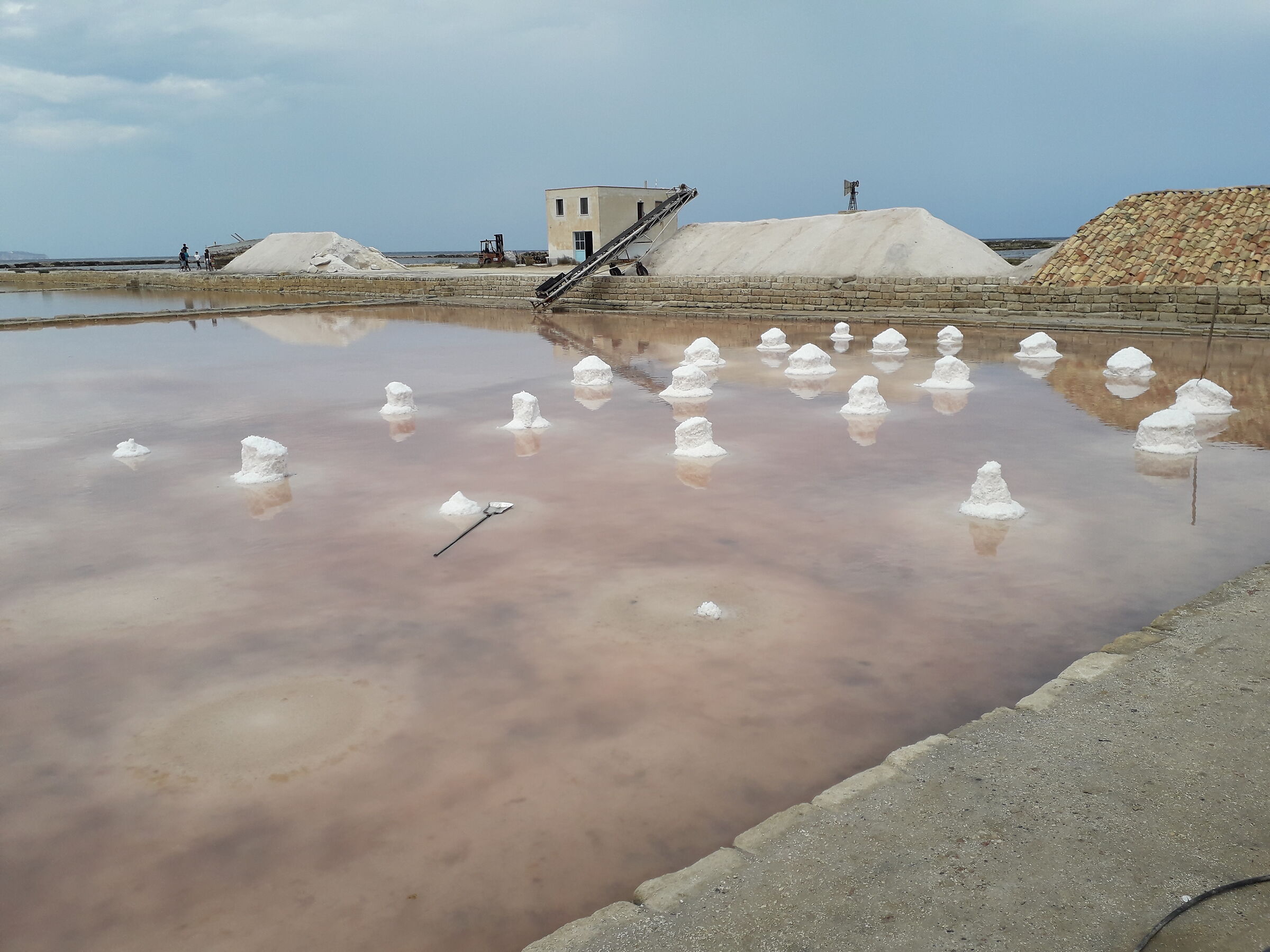 Saline in Trapani