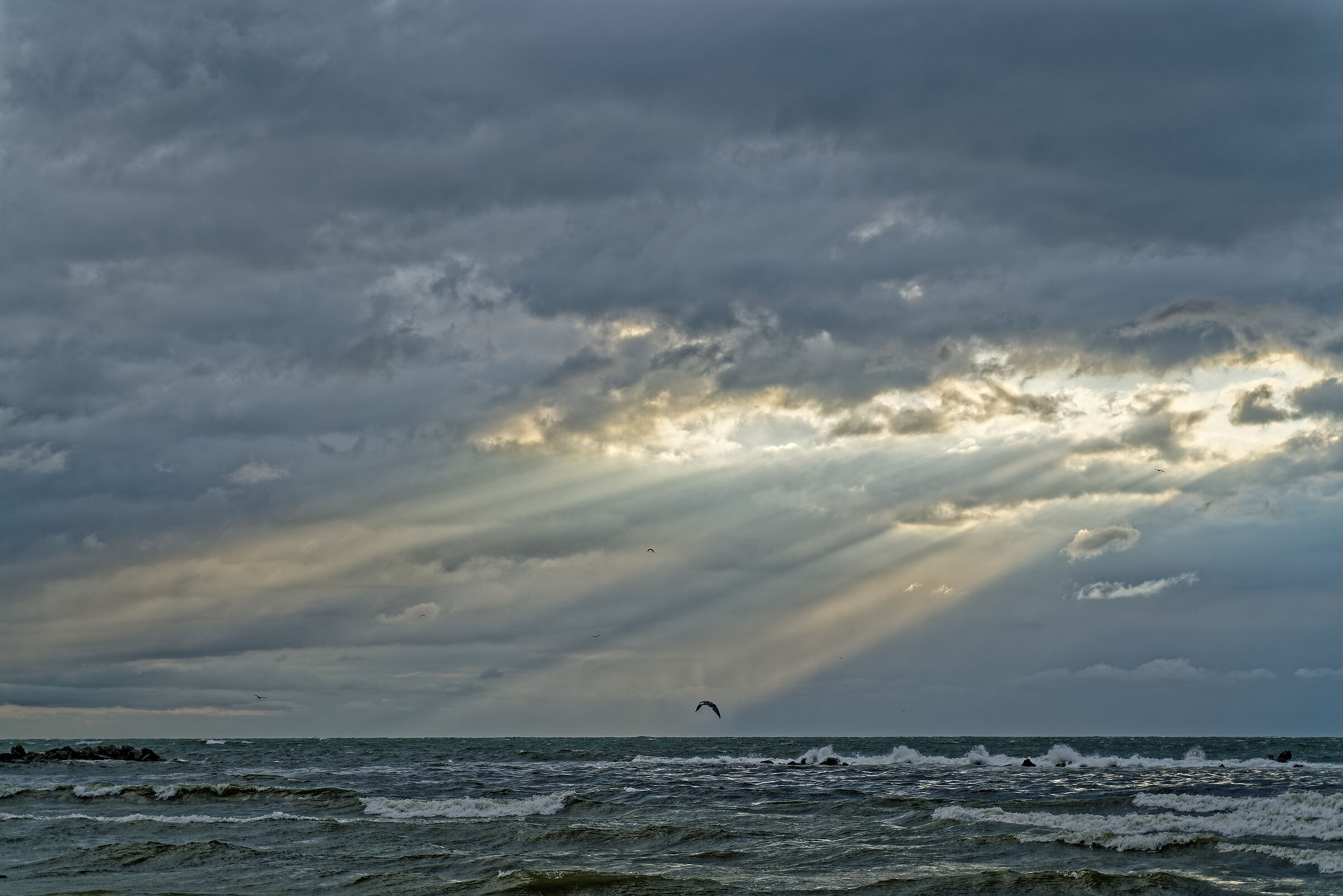 And it was the light